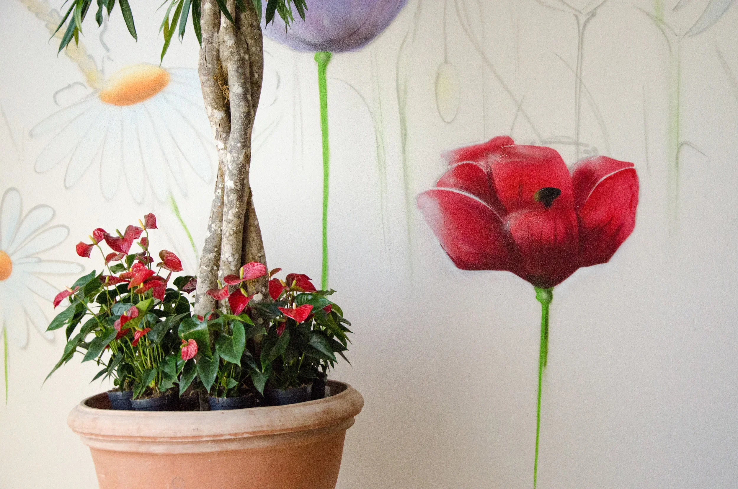 A potted plant with green leaves and small pink flowers on the left side, and a red artificial flower on a green stick on the right side, with a background of white wall with faint floral design.