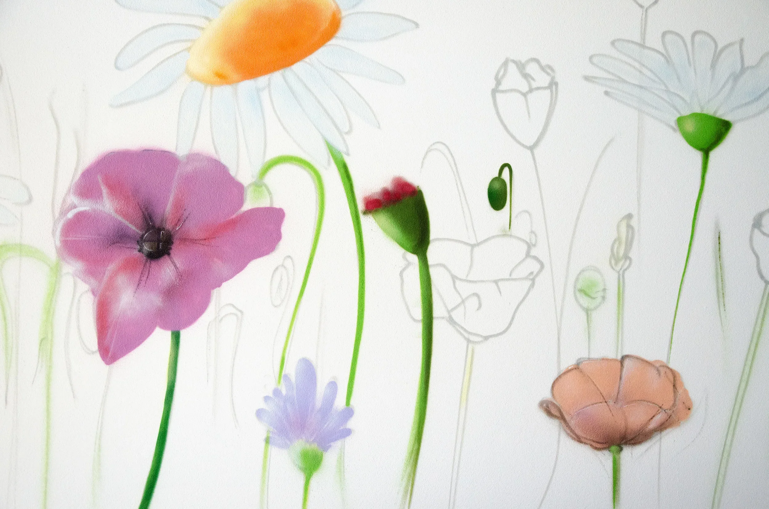 A wall with partial floral illustrations, including a pink flower, an orange and yellow flower, green buds, and a brown butterfly, with some outlined sketches of flowers and plants.