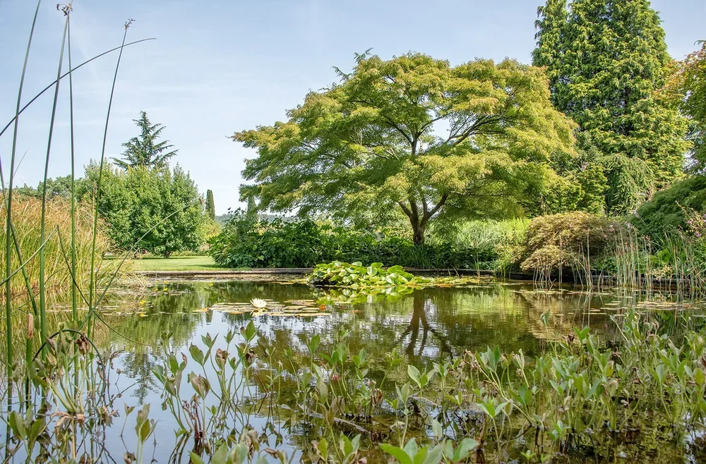 013_Hauenstein_Schaugarten_Rafz.webp