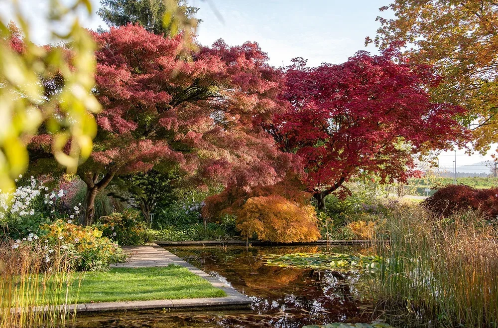 Schaugarten_2020-10-19_07.webp