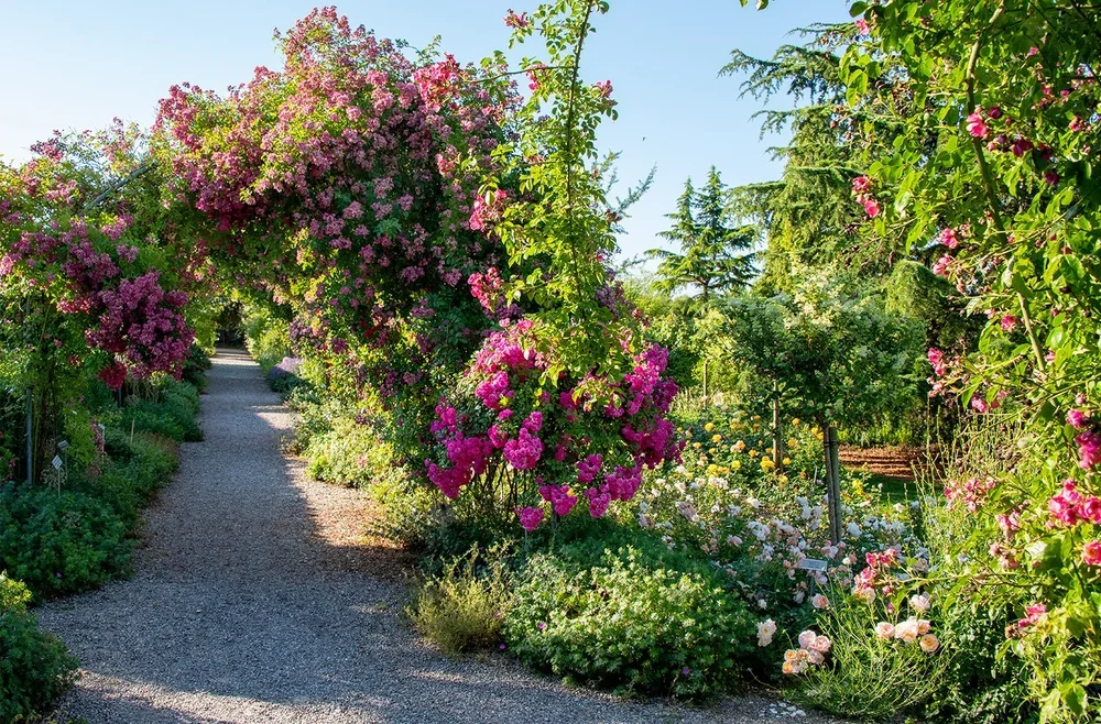 003_Hauenstein_Schaugarten_Rafz.webp