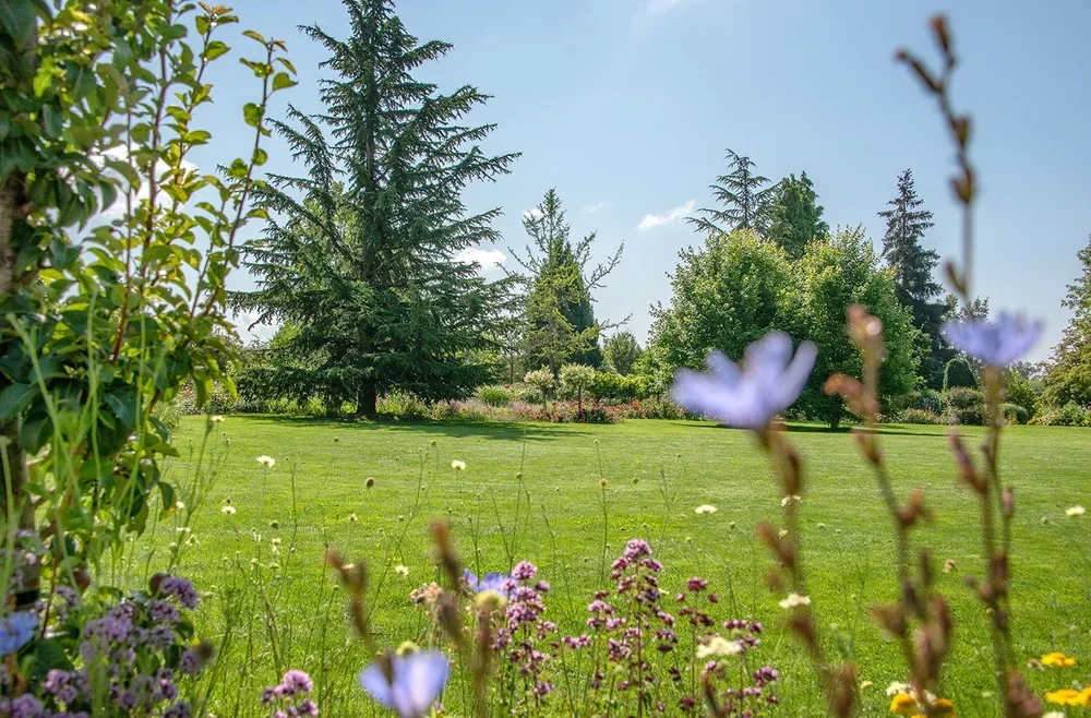 001_Hauenstein_Schaugarten_Rafz.webp
