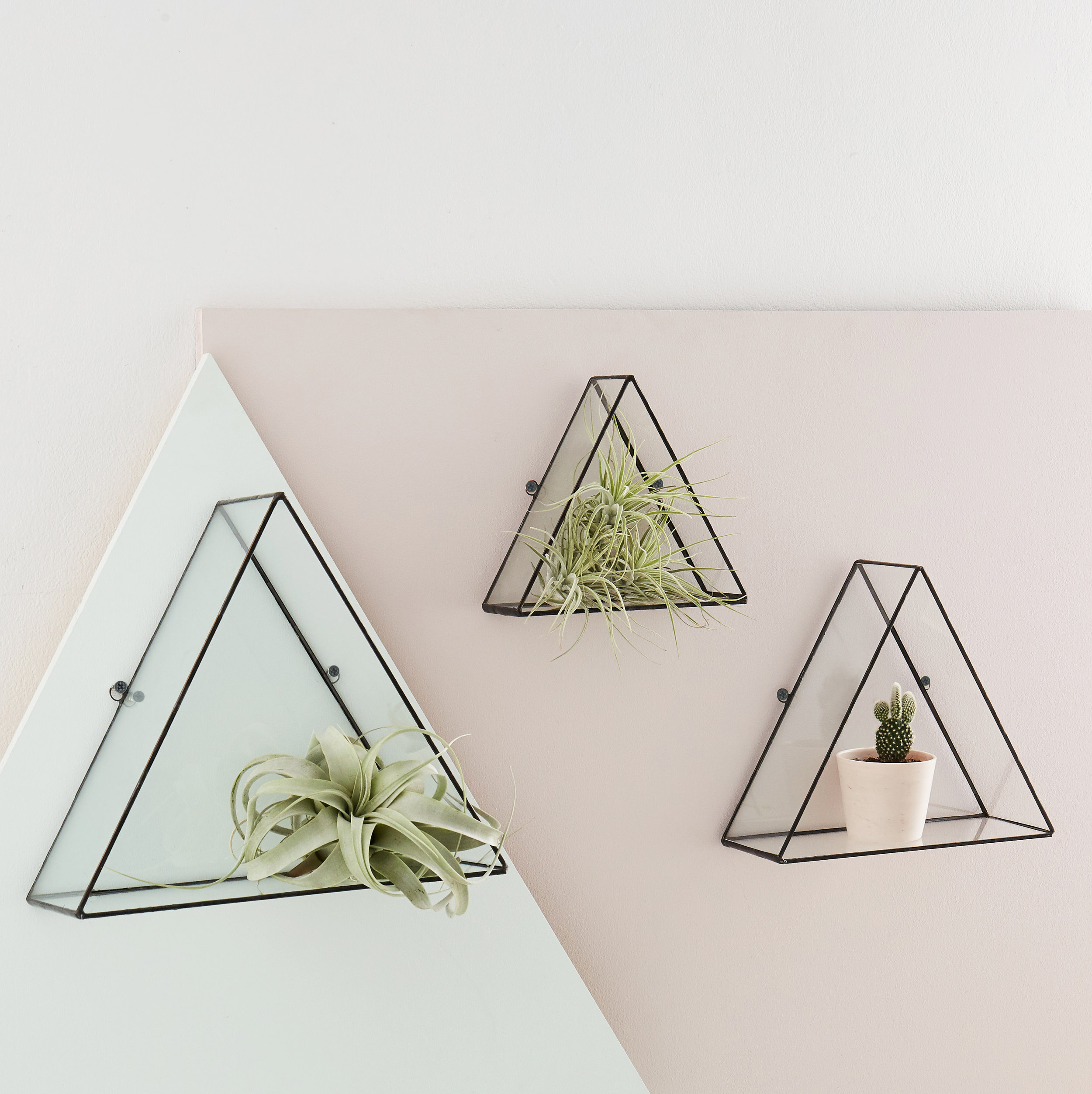 square euclid wall Monti-PM-15.2.1830300.jpg