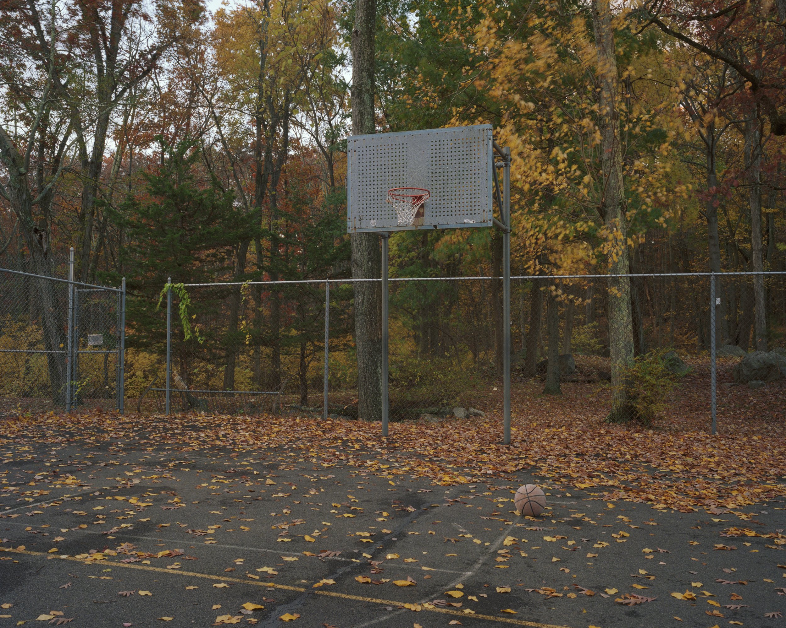 fallbball.jpg