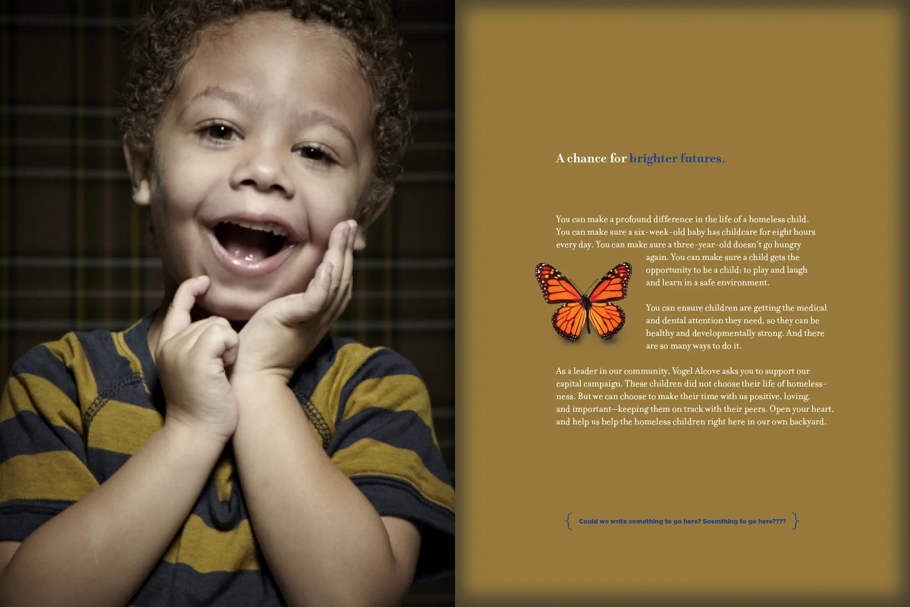 VA_Capital Campaign Brochure_FINAL-11.jpg