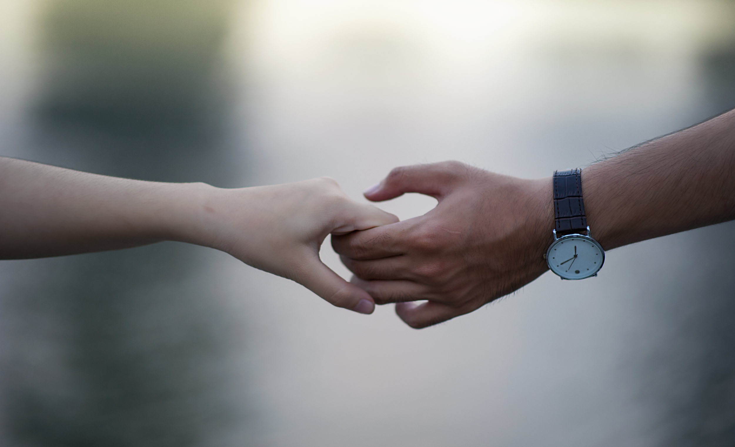 pexels-photo-715807.png