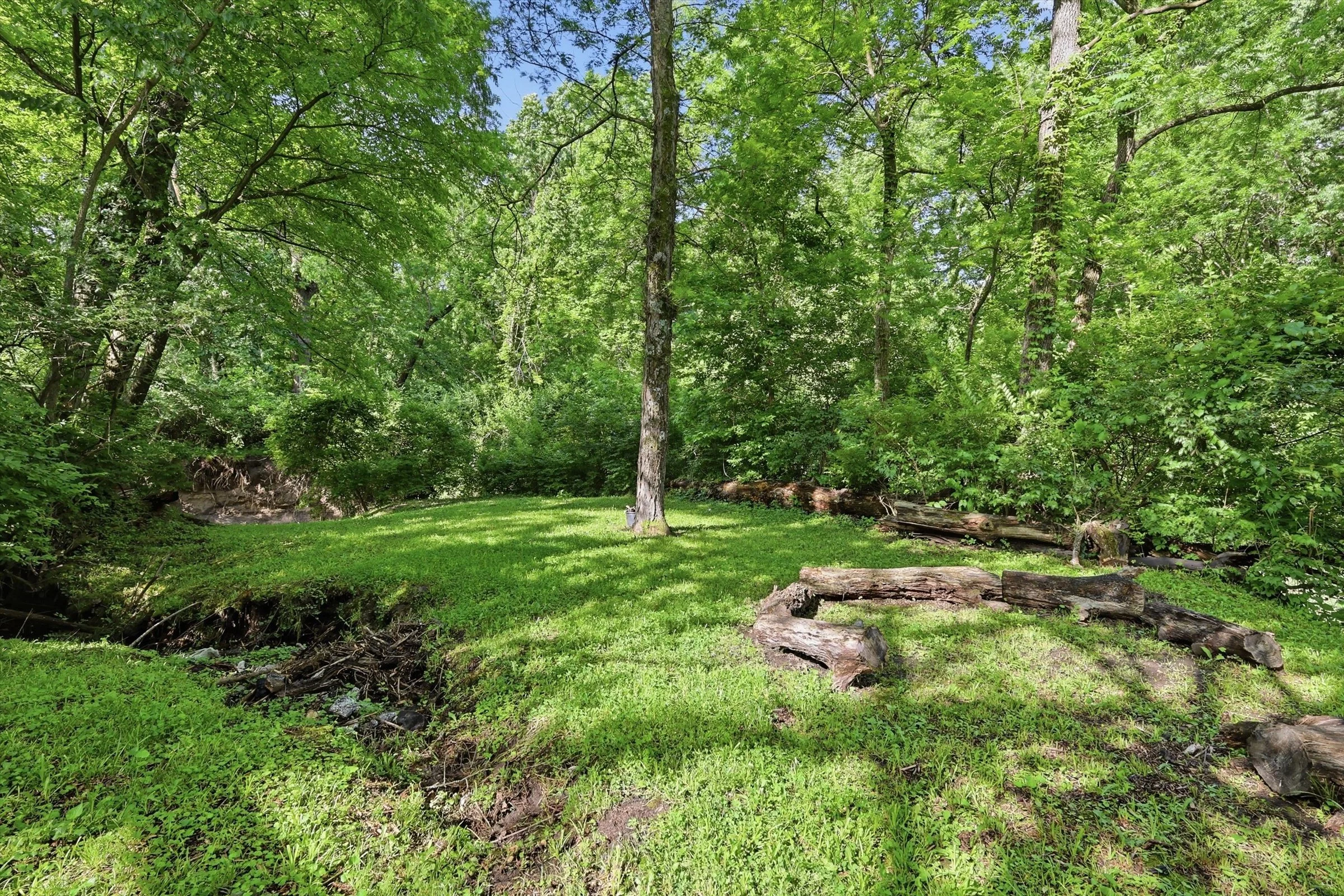 43-295 Fawn Ln.jpg