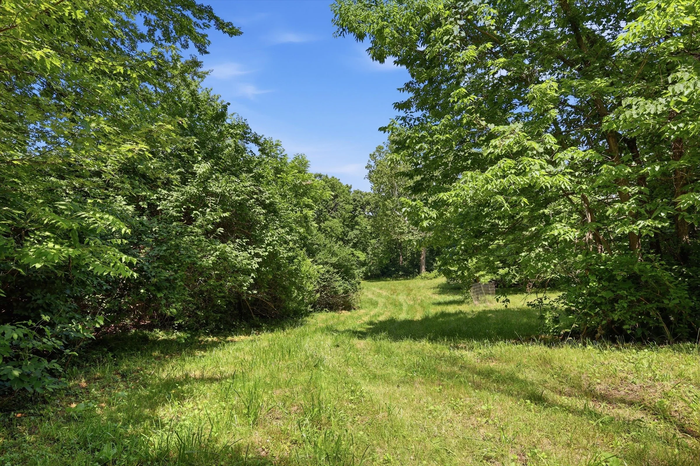 14-1300 Co Rd B.jpg