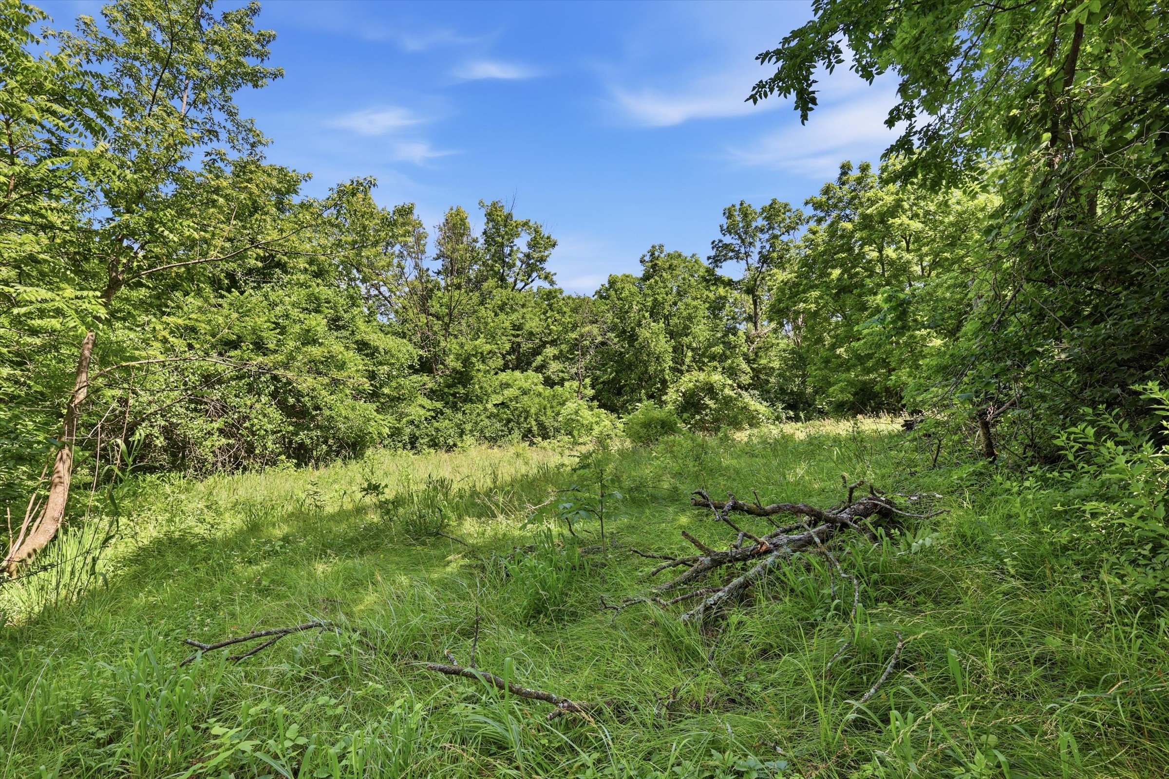 15-1300 Co Rd B.jpg