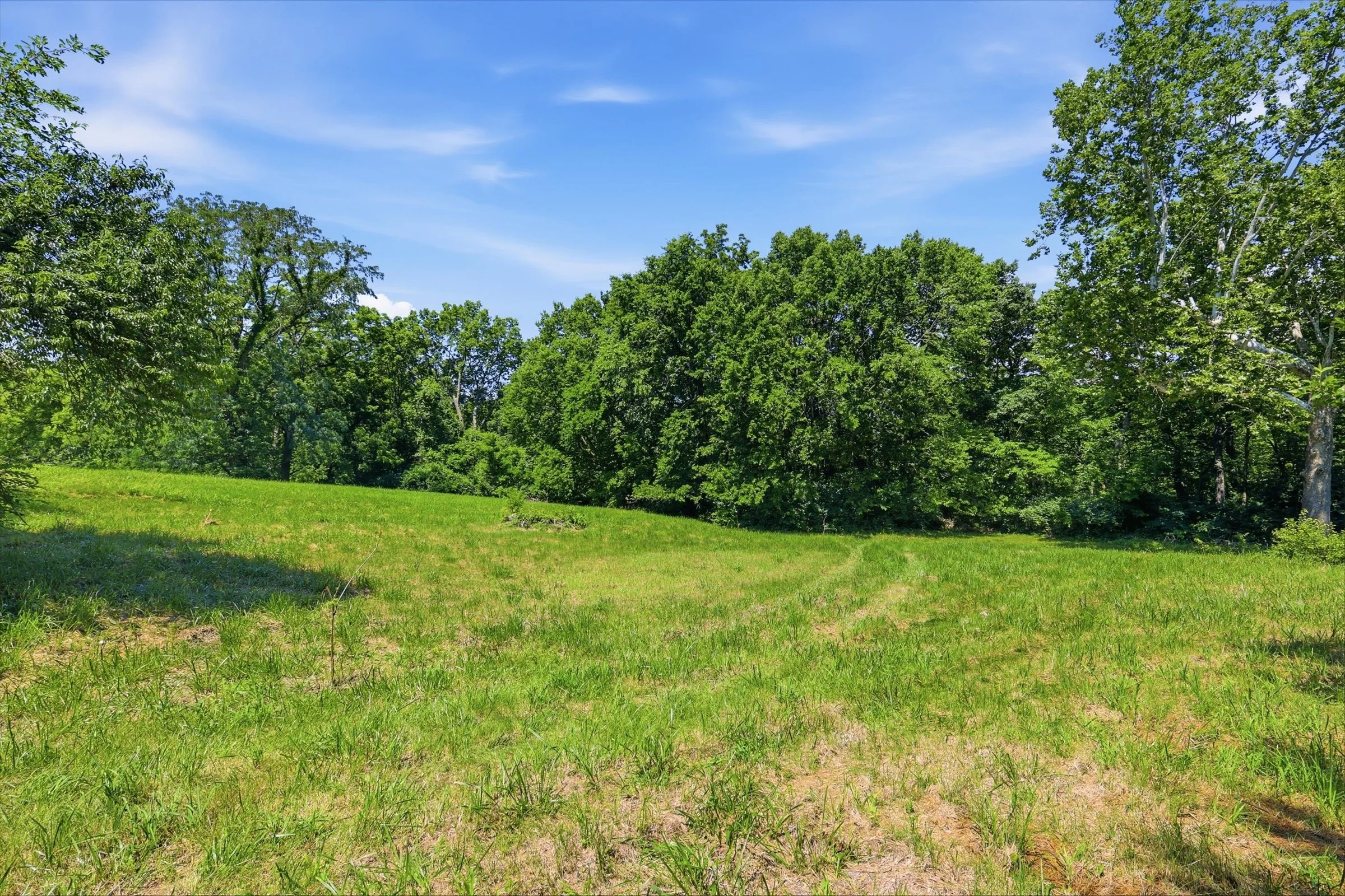 16-1300 Co Rd B.jpg