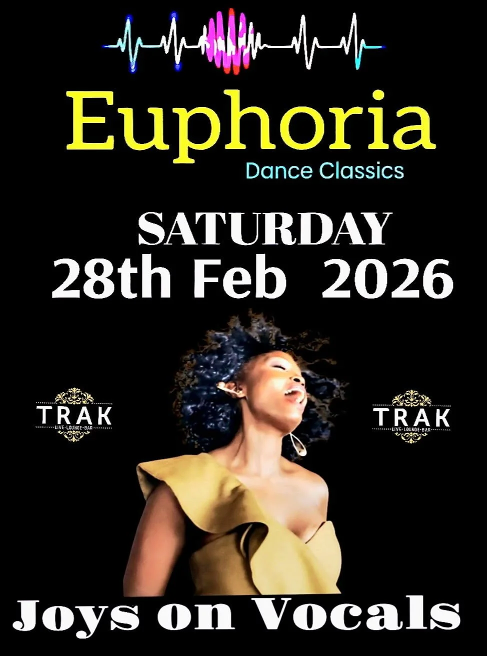 Euphoria _ Live PA Performance (Copy)