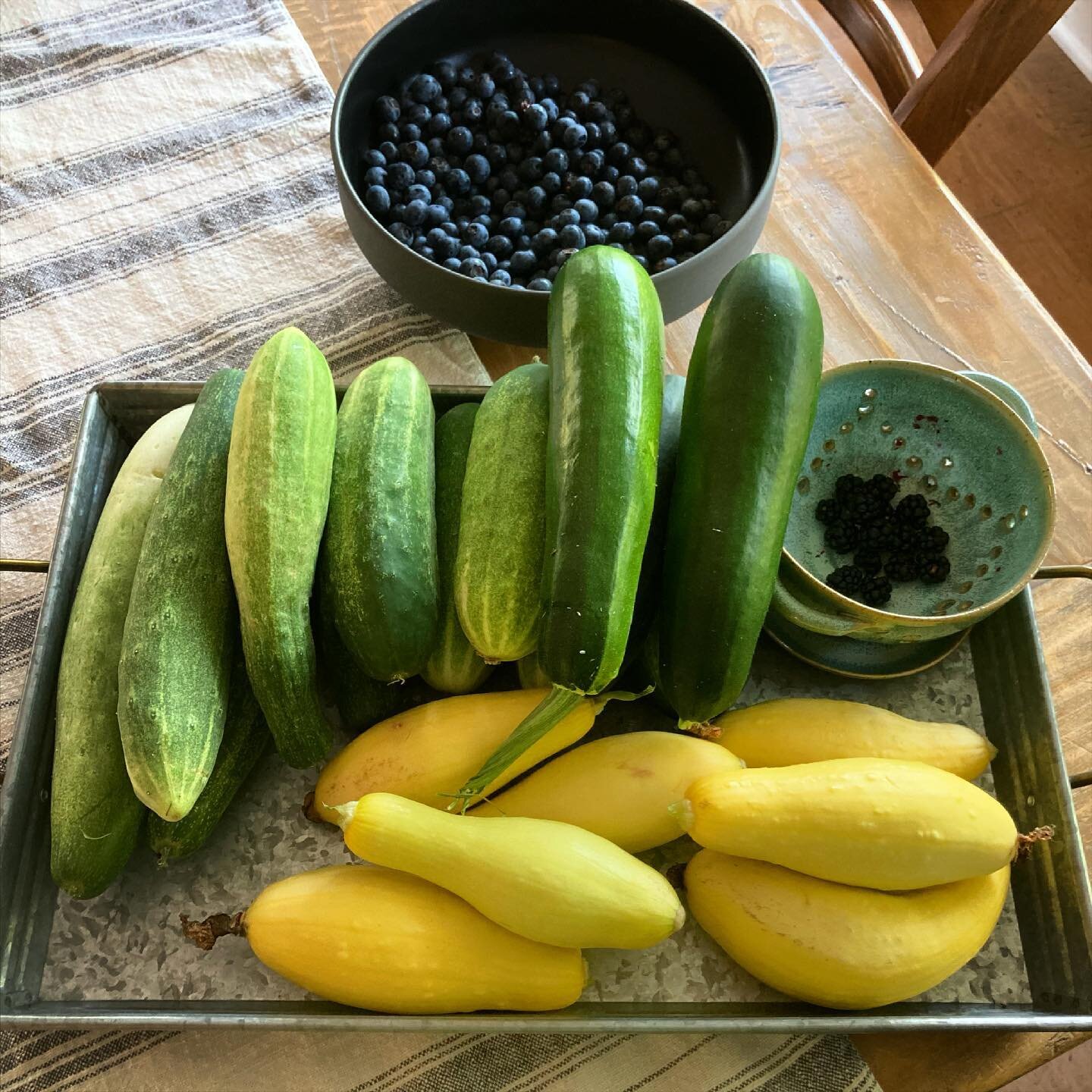 Blubes, blabs, zukes, cukes, and&hellip;

&hellip;squadge.