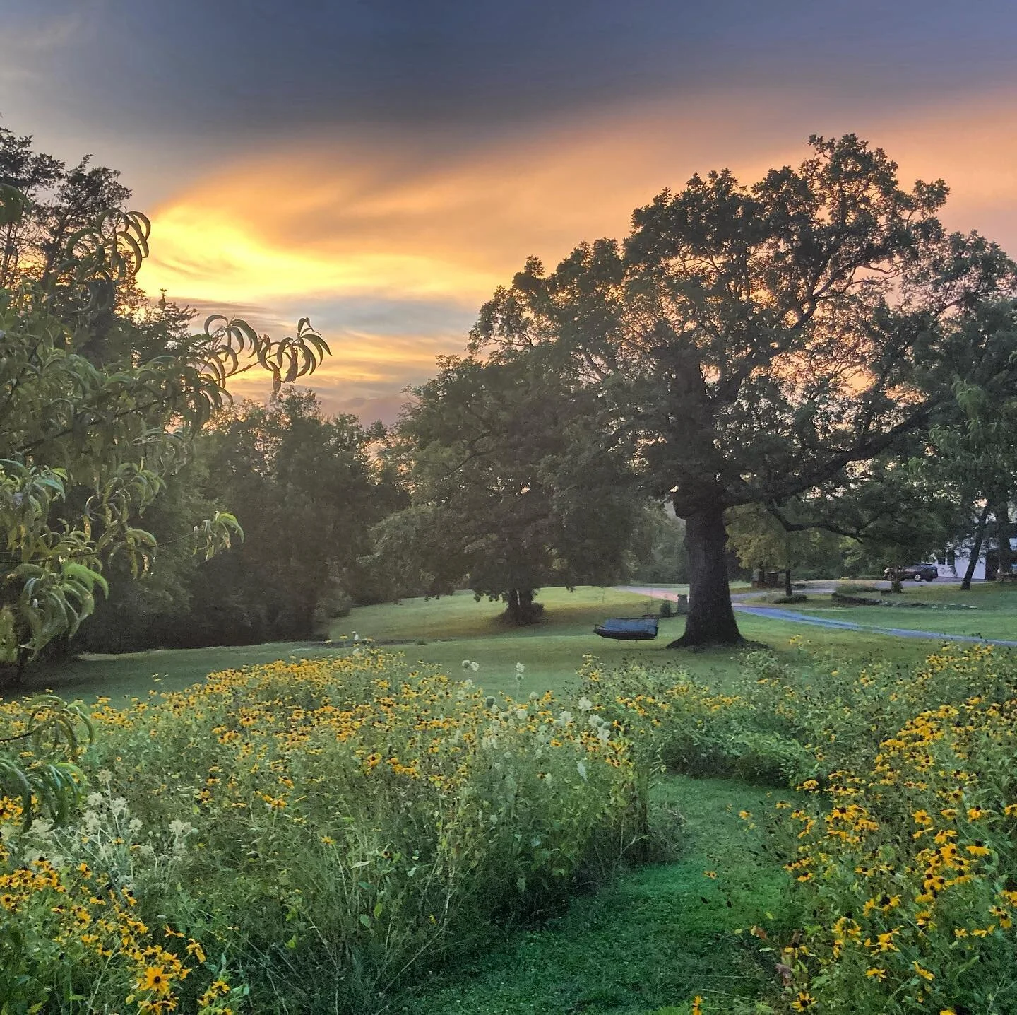 Summer night at the Warren.