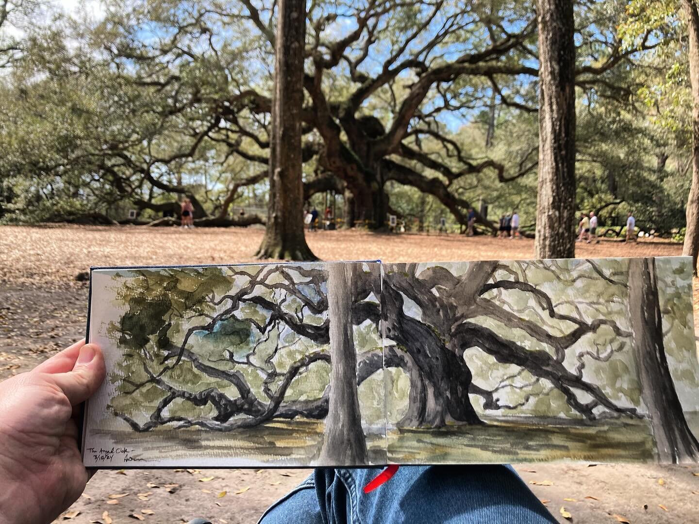 So nice to be in Charleston again. I&rsquo;ve heard about the Angel Oak for years, and even mentioned it in my book (The God of the Garden), but today was my first chance to see it in person and do some painting. I read somewhere that it&rsquo;s the 