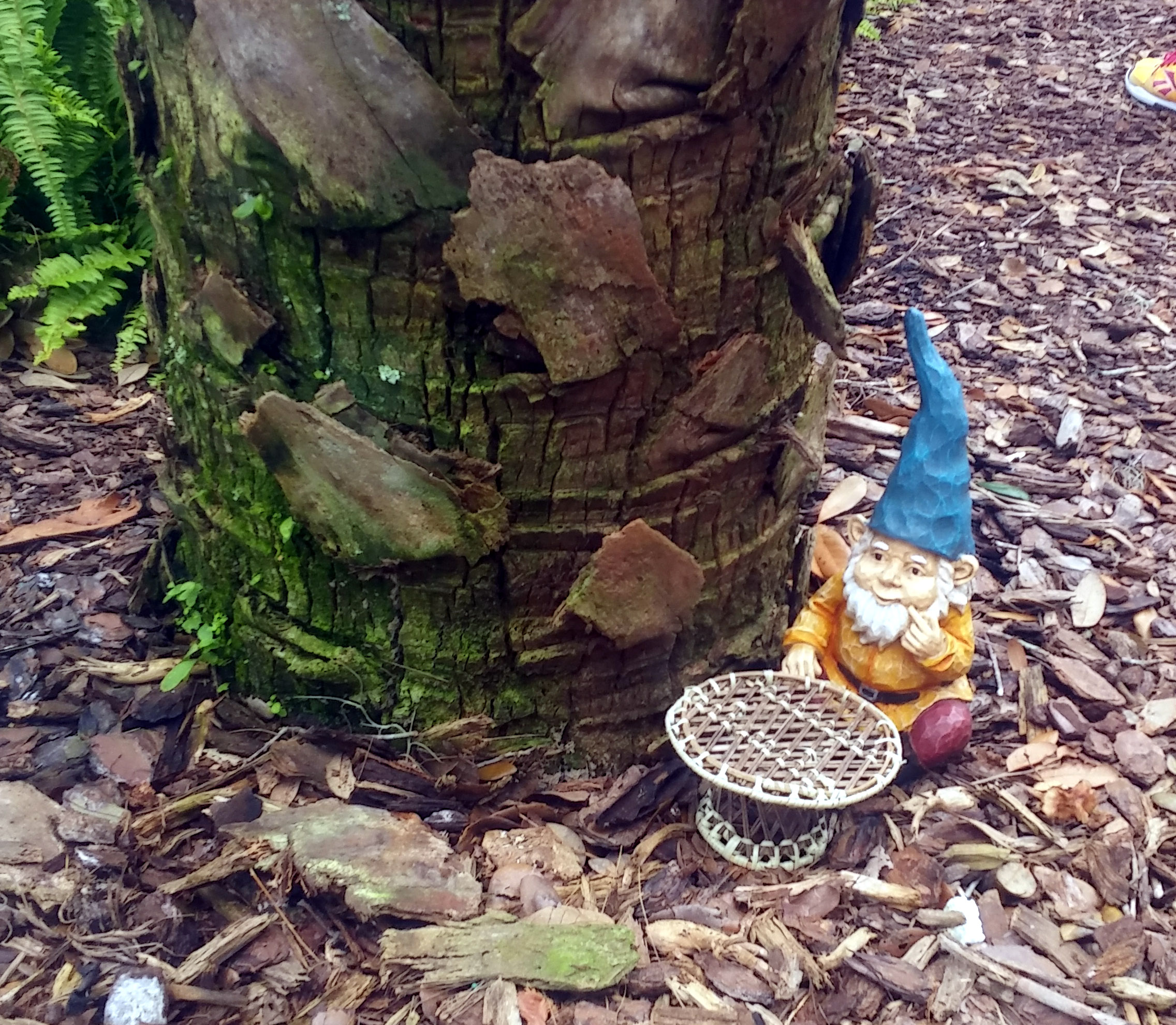 Little gnomes were everywhere. 