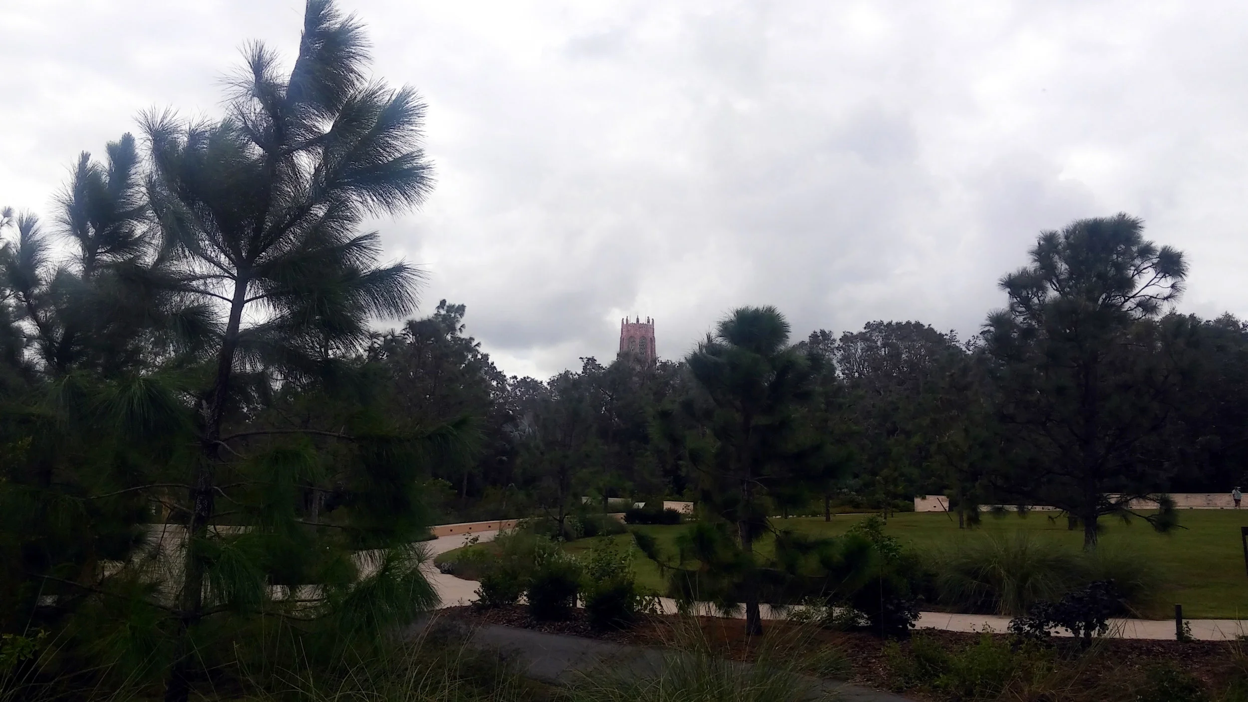 20170924_120935.jpg