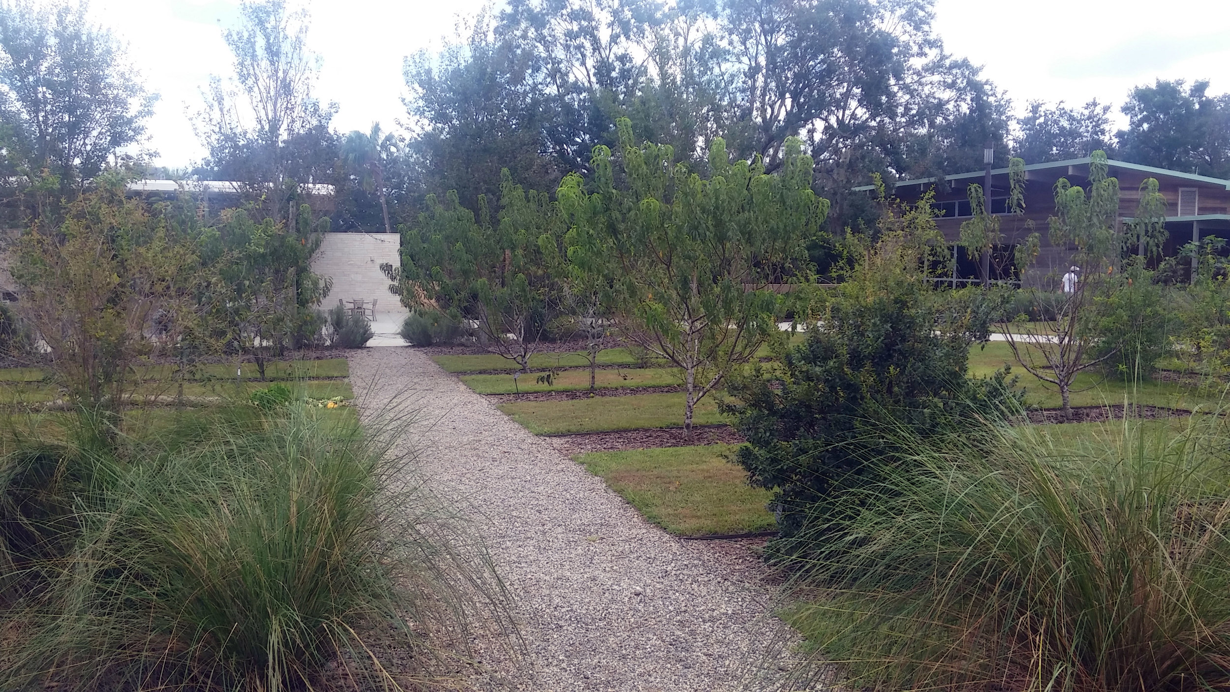 Fruit trees