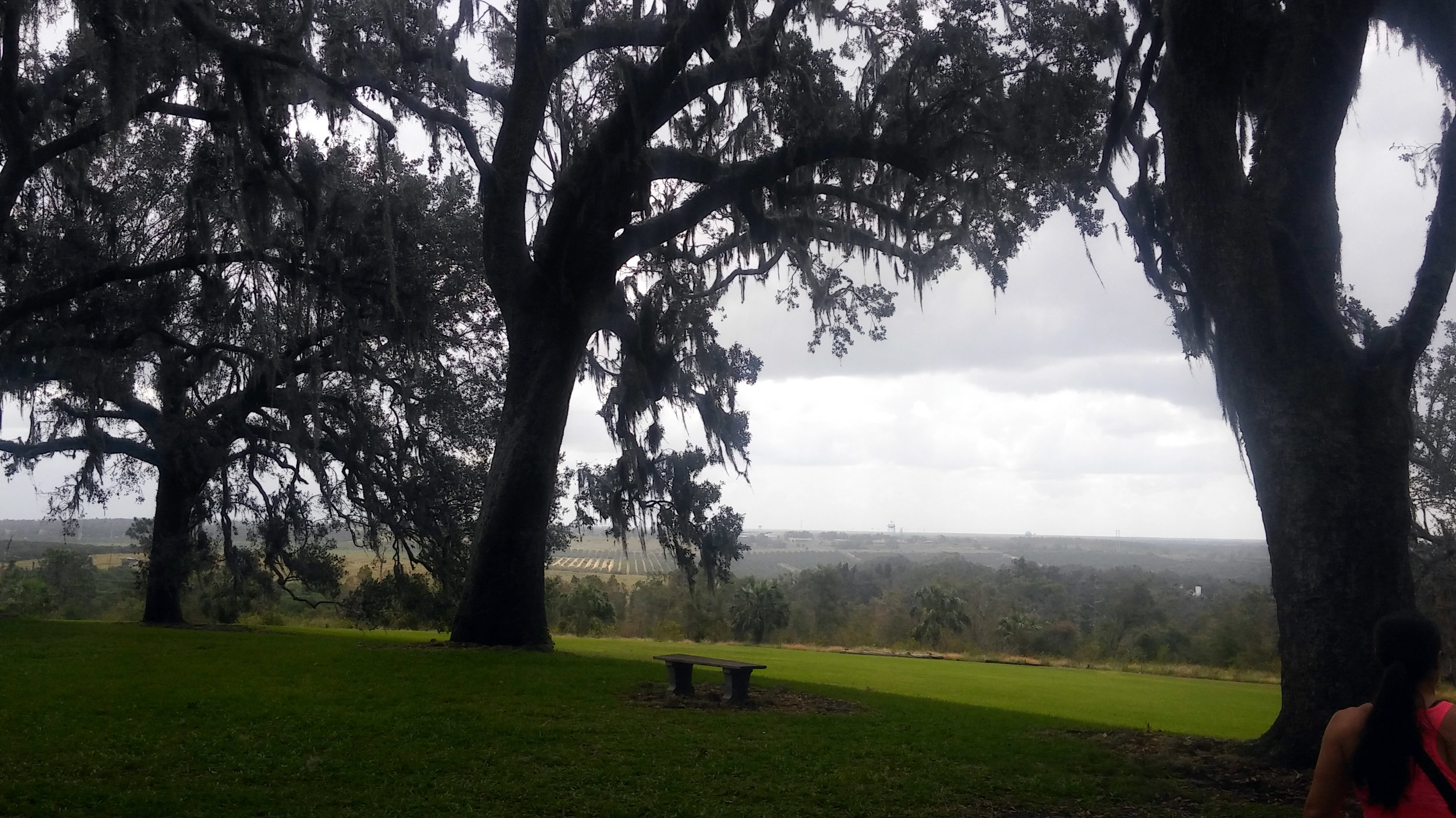 The Singing Tower & the park were built on one of the highest places in Florida and it's nice to see a panoramic view that isn't all flat.