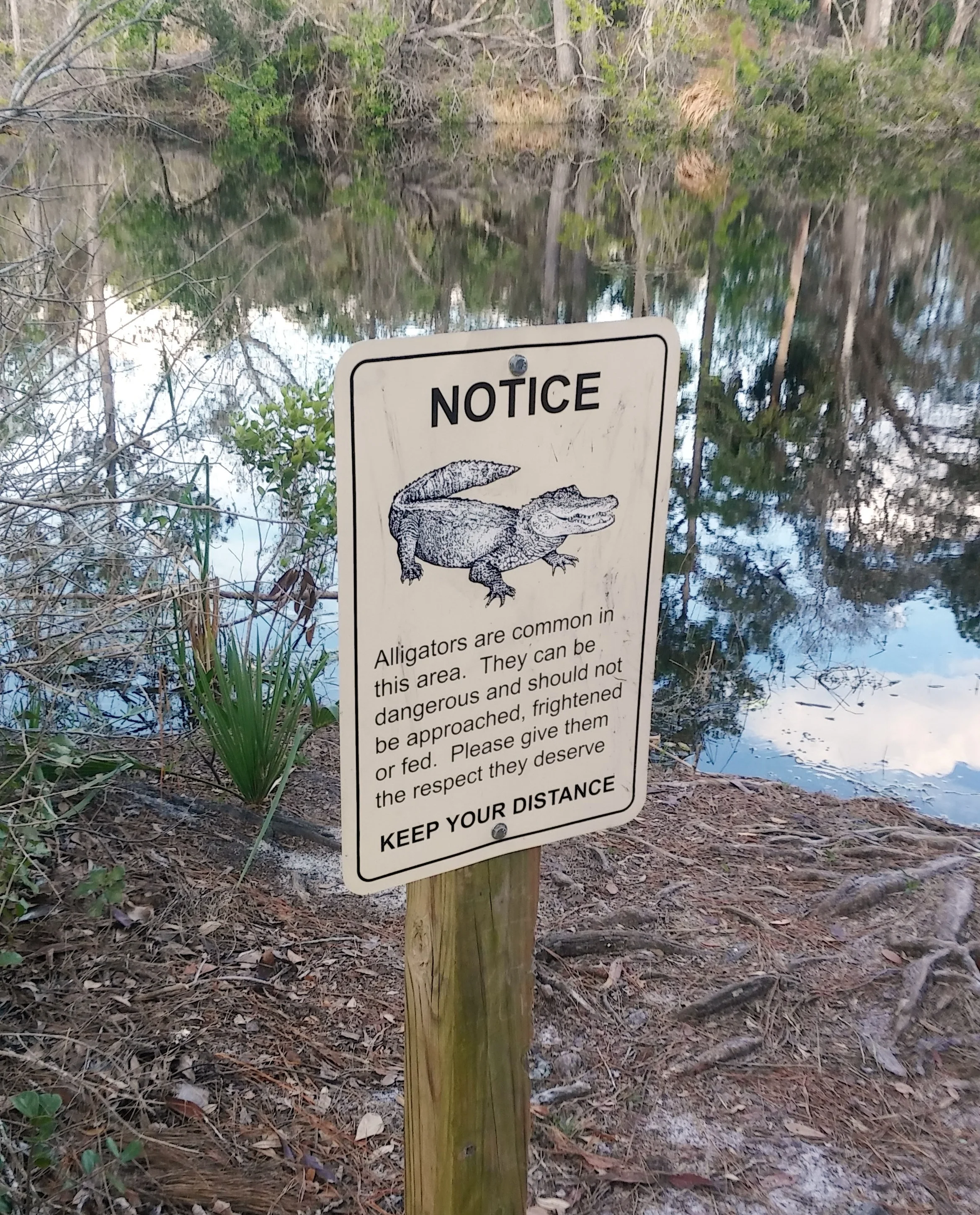 20180211_155635.jpg