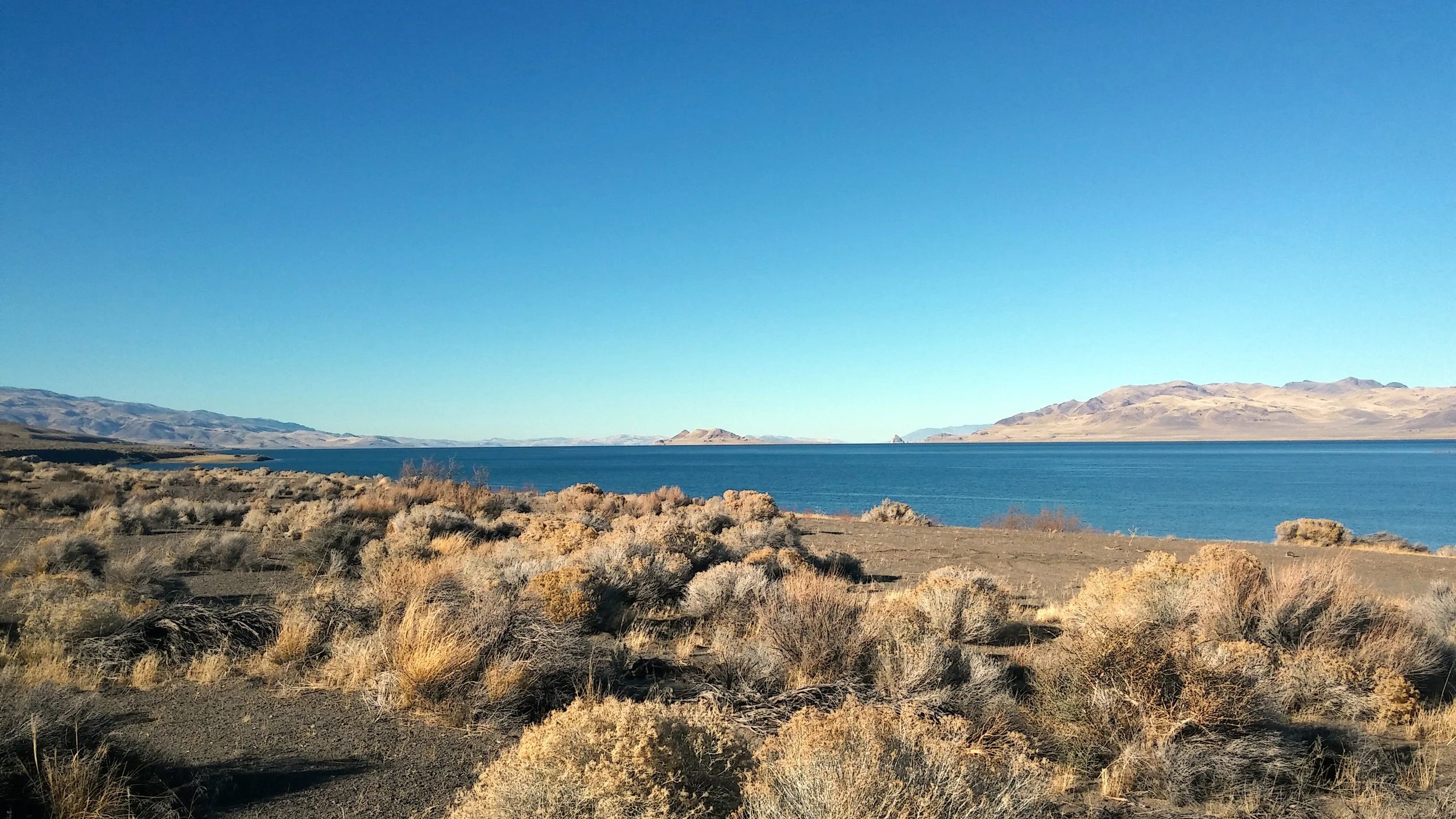 20171207_134521.jpg
