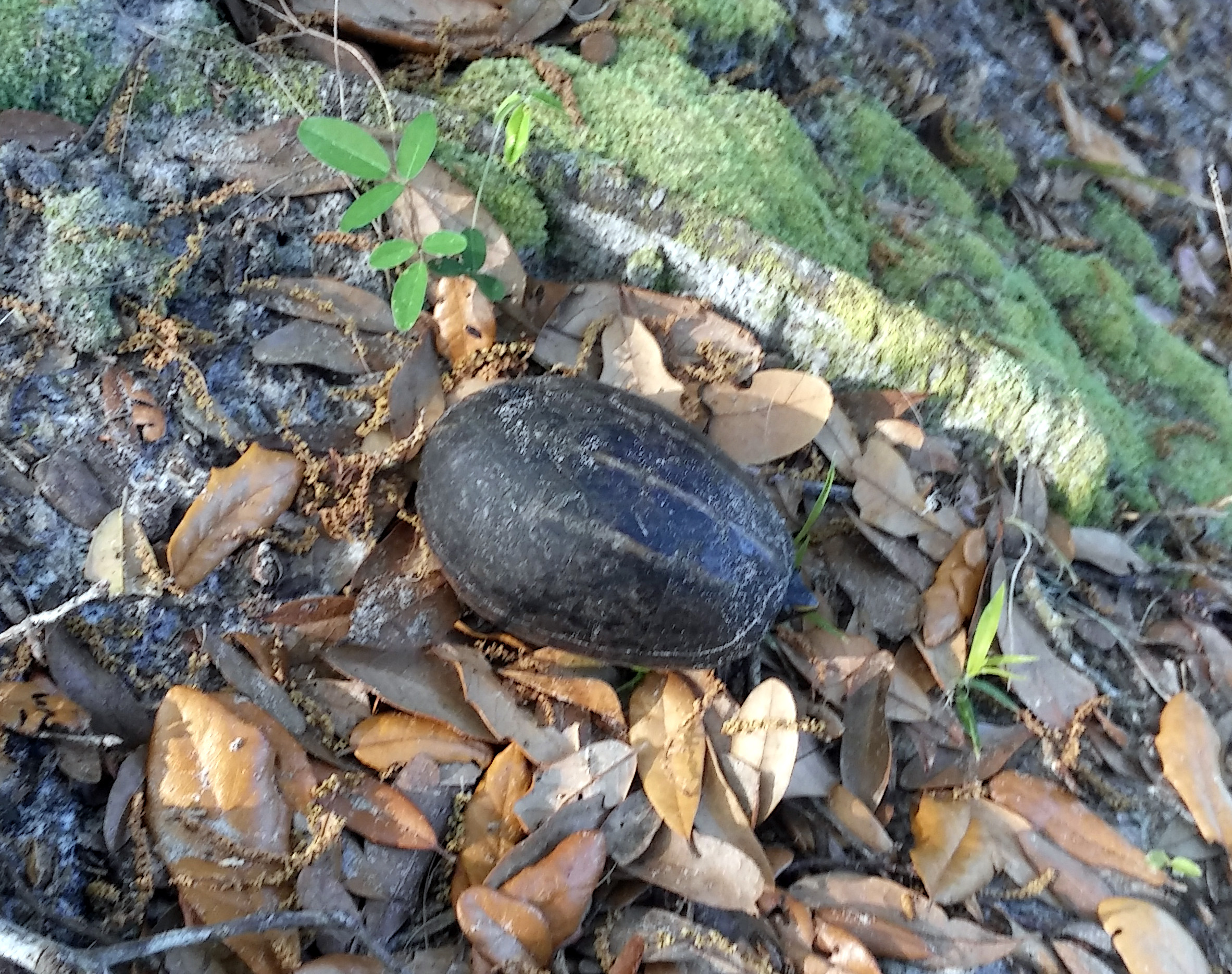 20180311_100550.jpg
