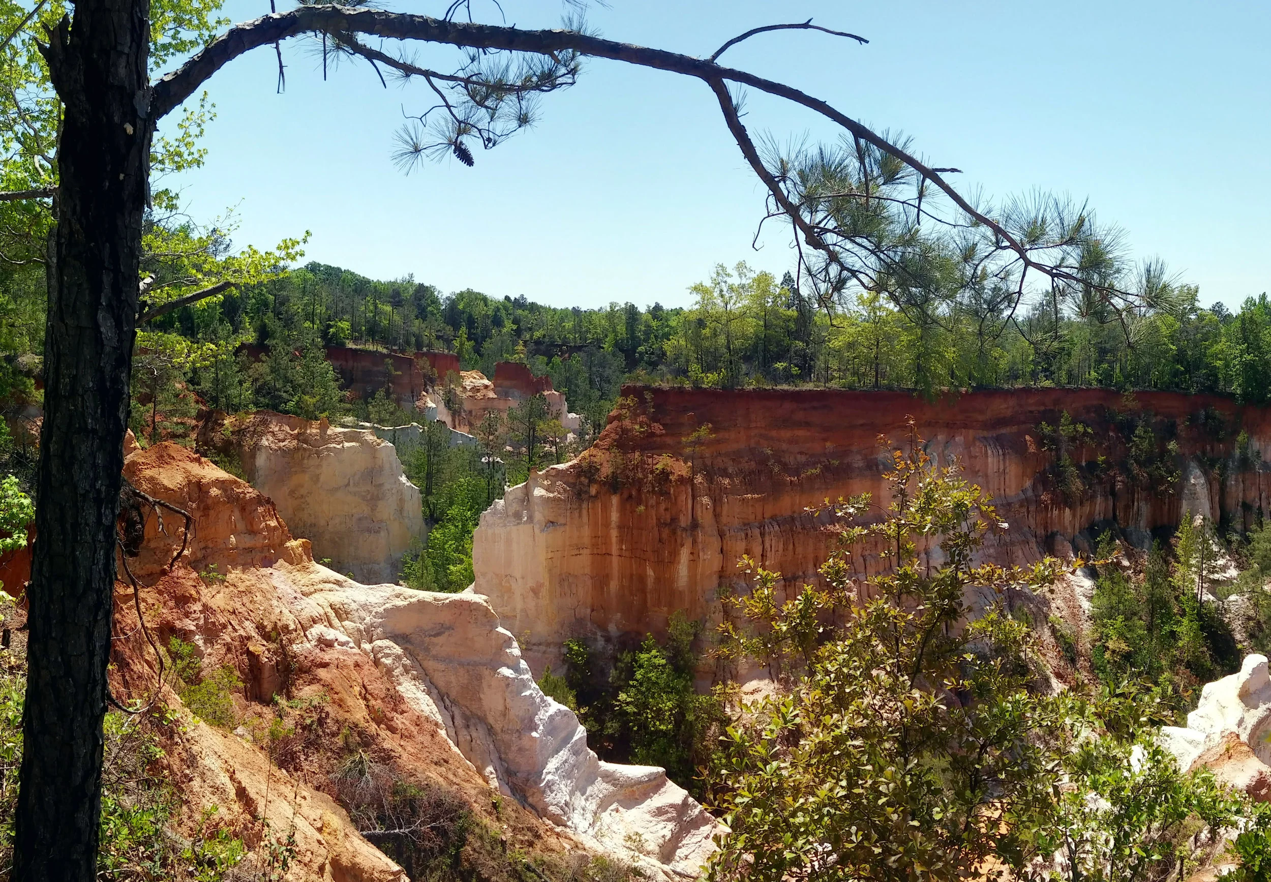 20180420_121353_Pano.jpg