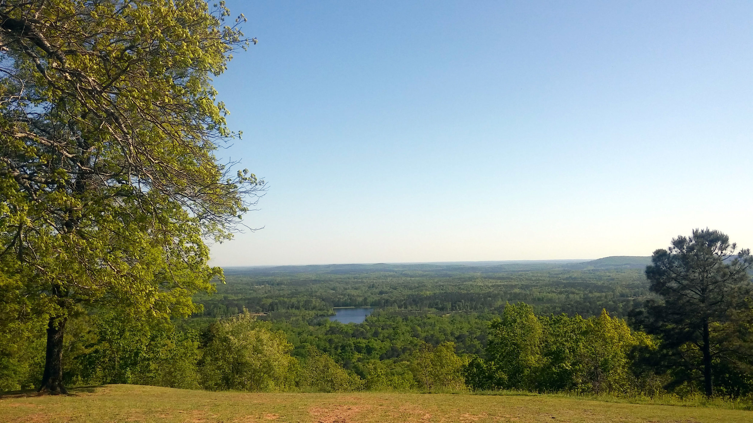20180420_170554.jpg