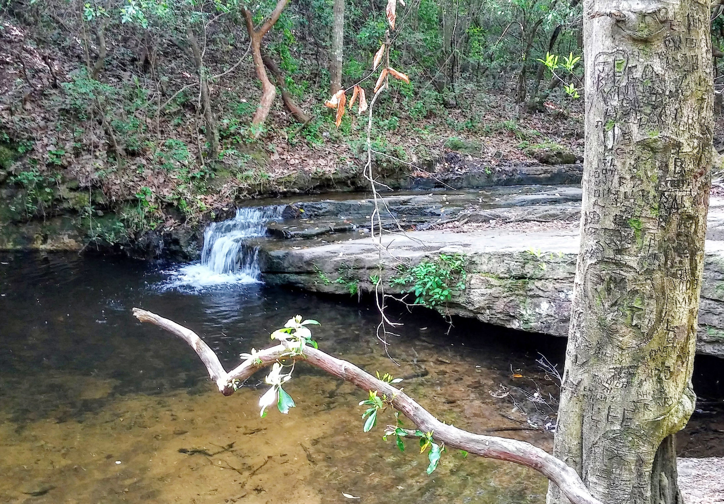 20180421_101116.jpg