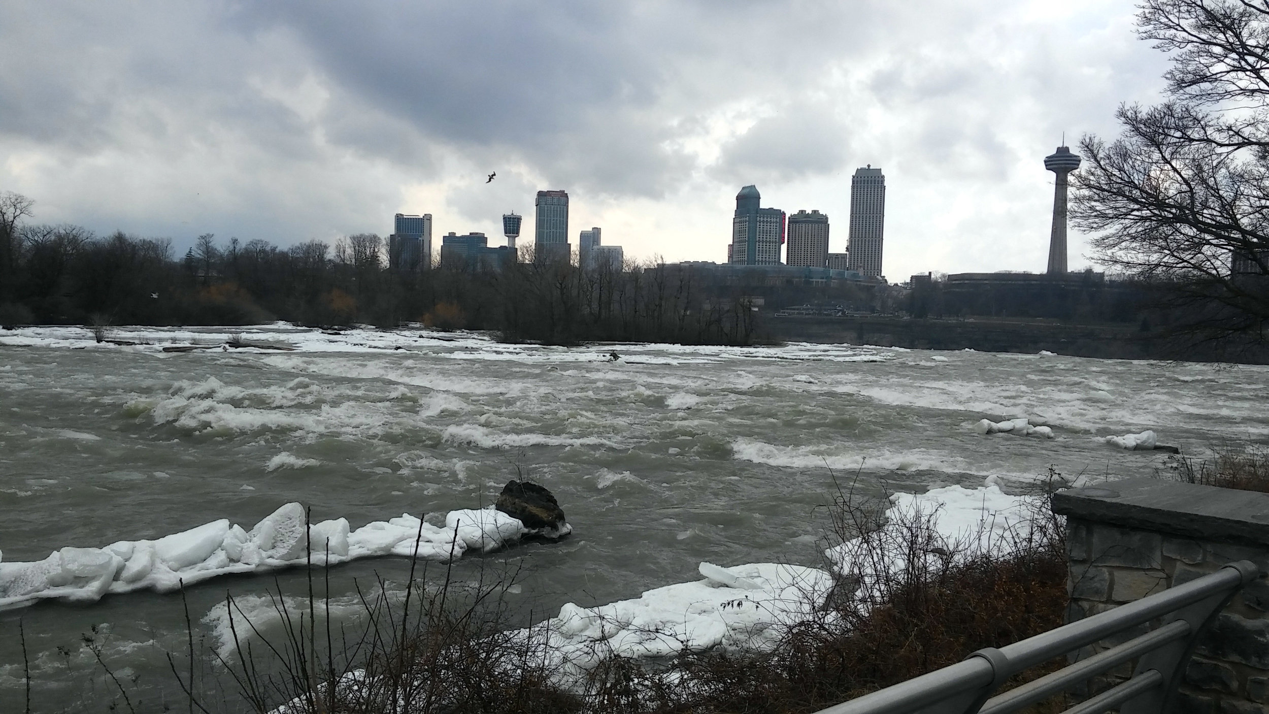 20180406_150236.jpg