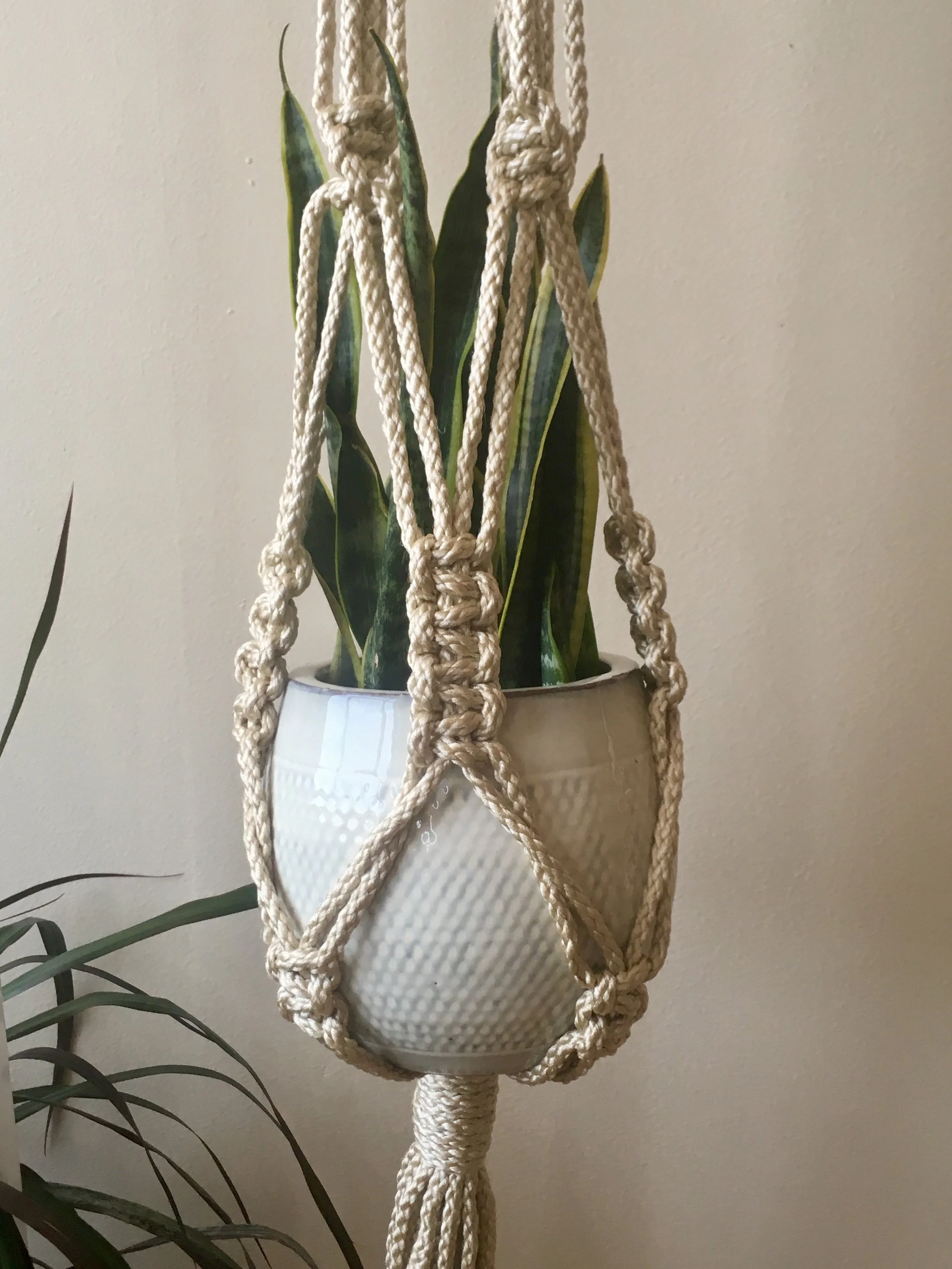 "Just Hanging Around" Large Plant holder 