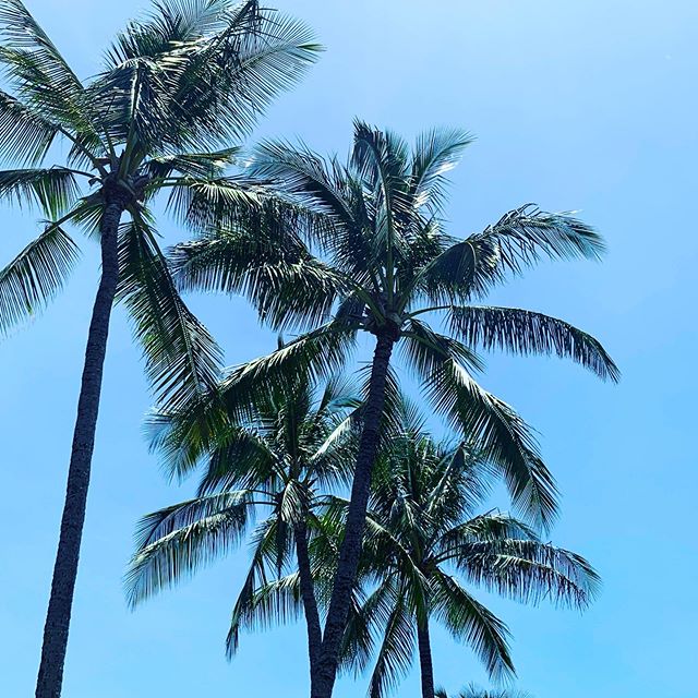 Just a little visual stimulation to take that trip!  Buy those shoes!  Enjoy the sunshine!  Whatever it is your heart yearns for!  Do it! 
What is your biggest dream?! Tell me below!