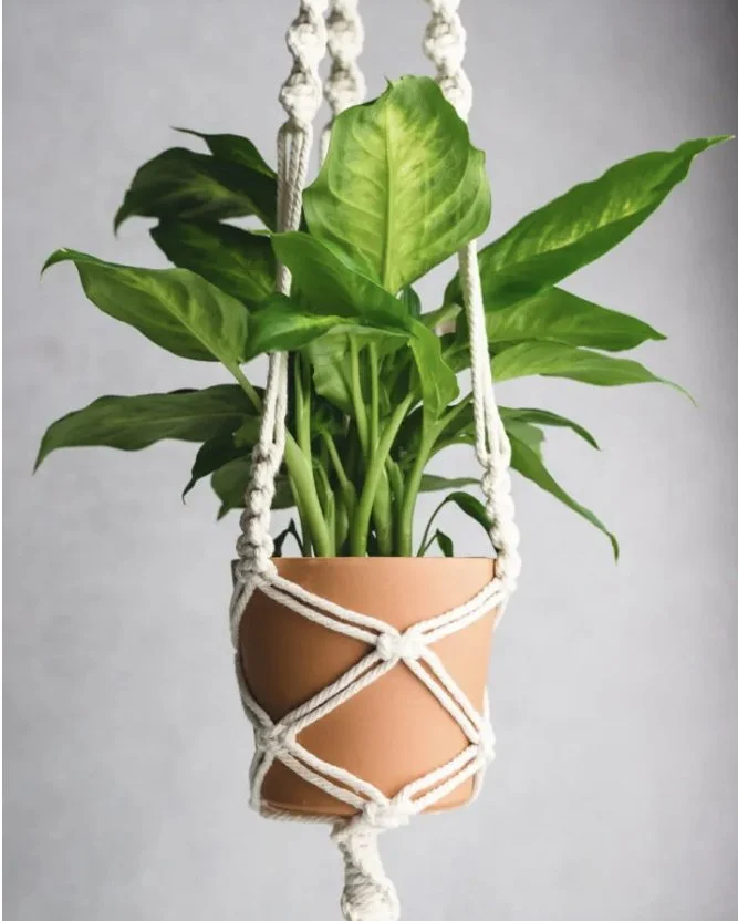 Macrame Plant Hanger.jpg