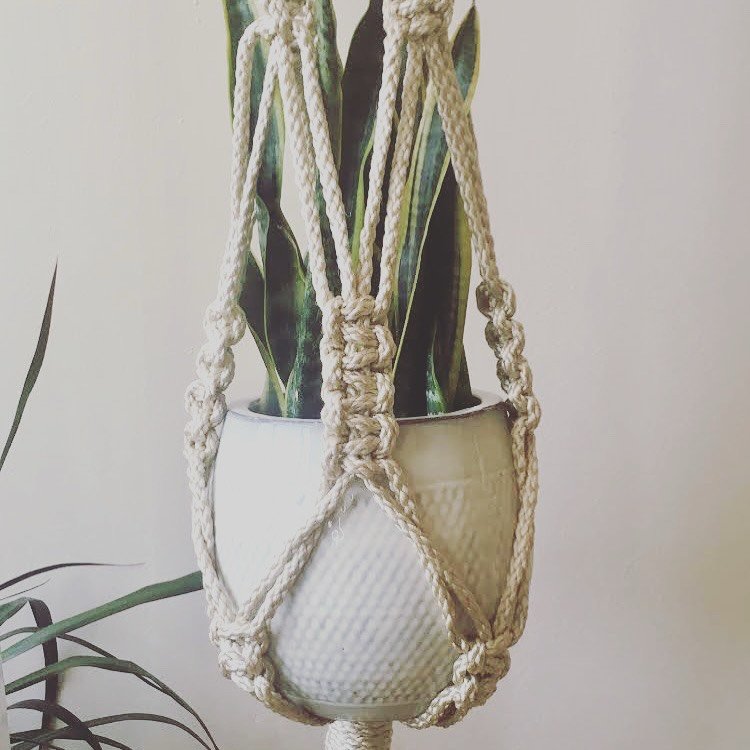 ✨ &lsquo;Knot&rsquo; Your Average Night Out ✨

Join me for a cozy, creative evening at Thornton Distillery on Wednesday, May 28th at 6PM for a macram&eacute; workshop filled with creativity, connection, and cocktails. 🌿🍸

Whether you&rsquo;ve never