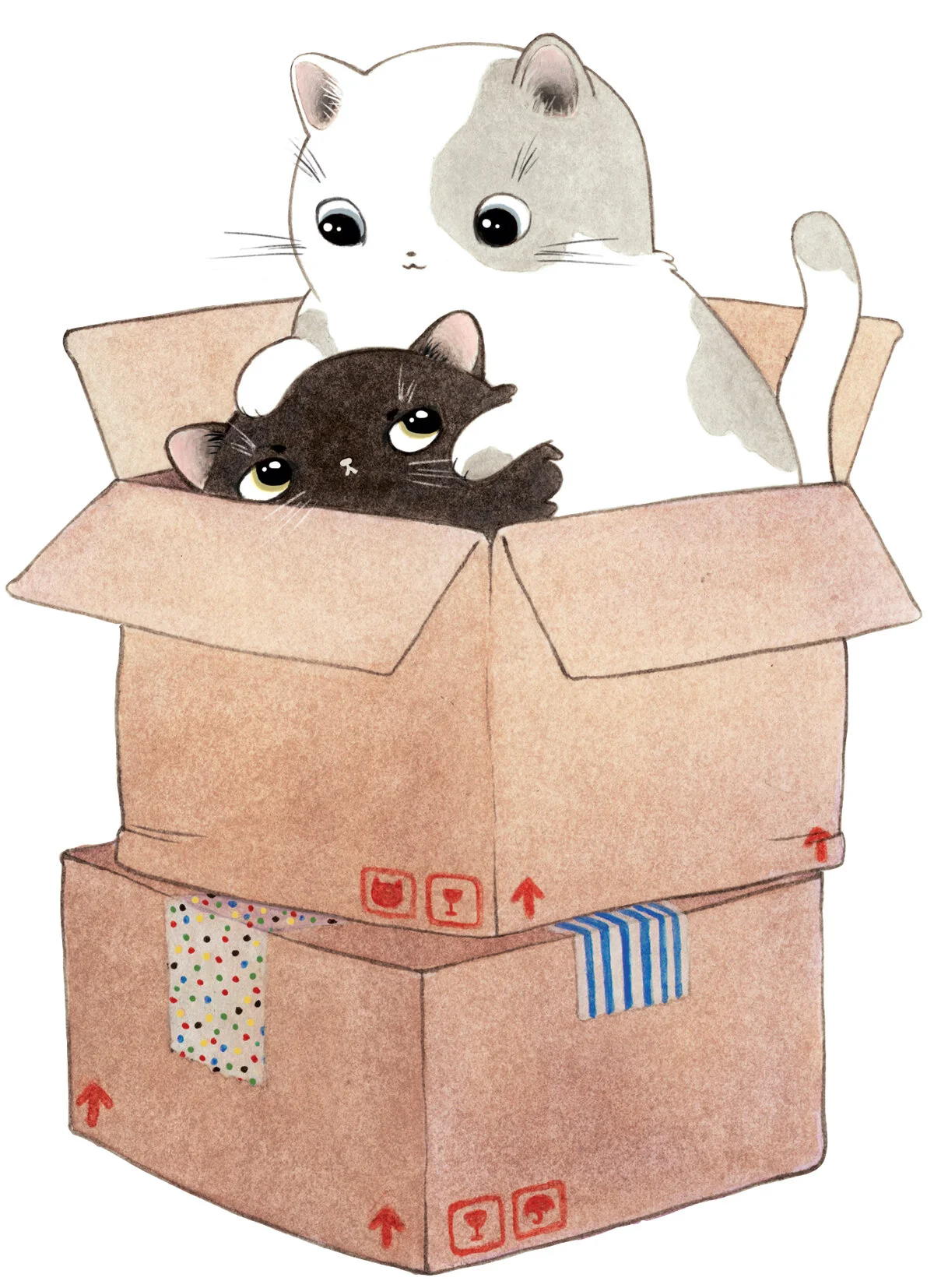cats-in-box.jpg