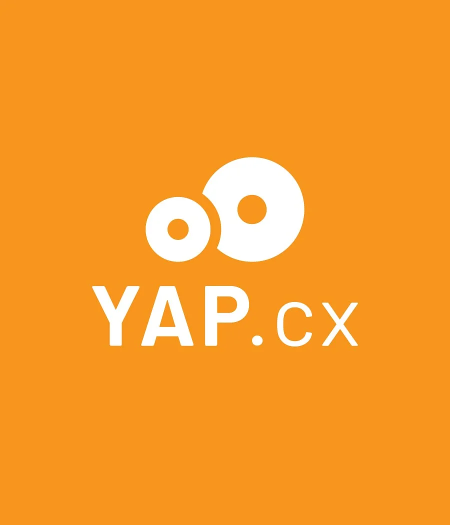 cover_0010_yap.jpg