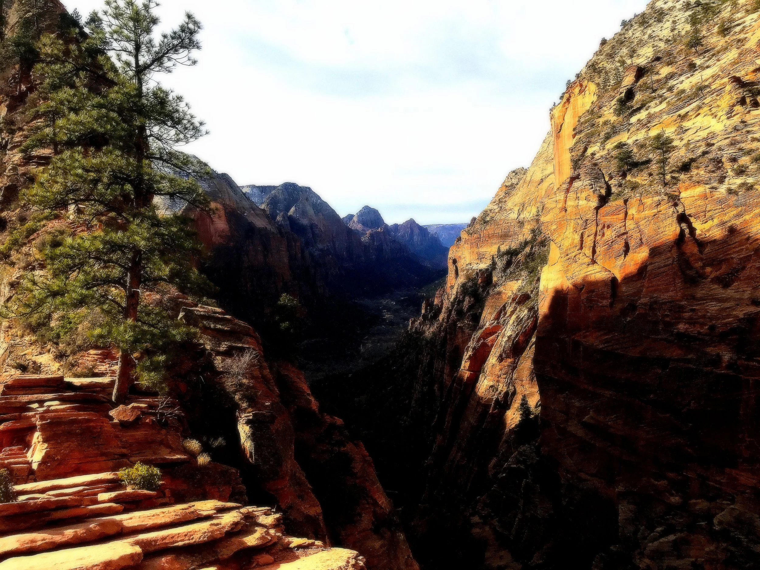 SW Road Trip - The Zion Experience Day 1-3