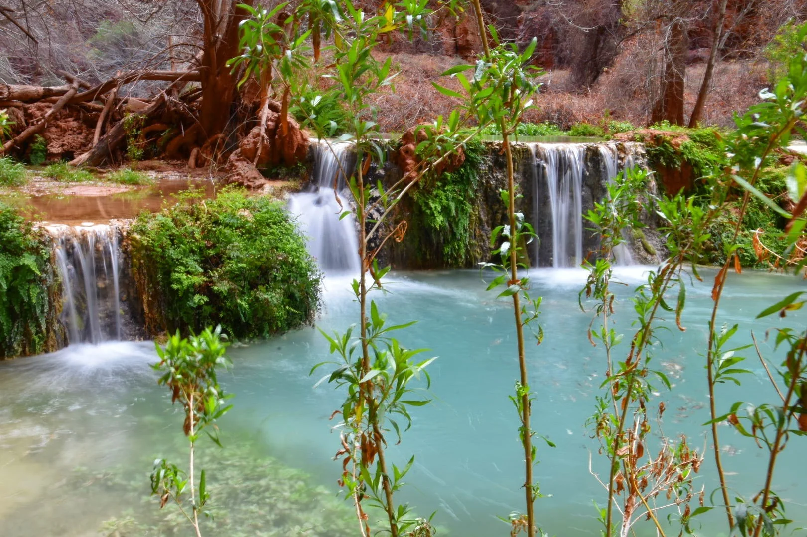 The forever changing Havasu creek. 