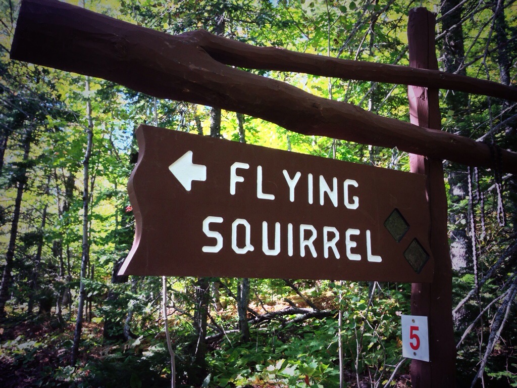 Quote of the Day #QOTD