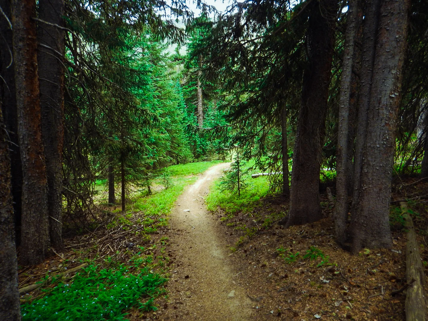 Quote of the Day #QOTD