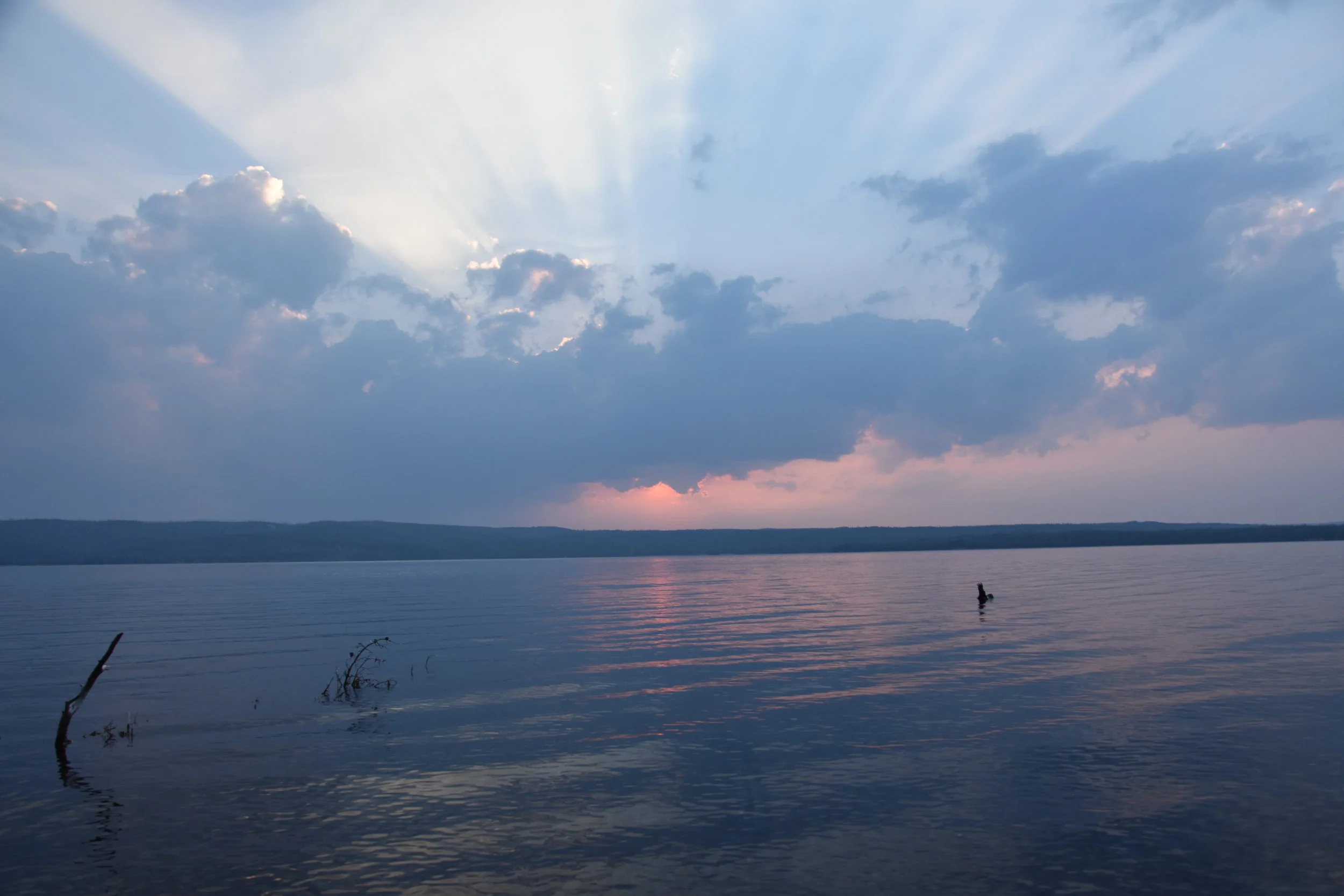 Lewis Lake, Site #41C