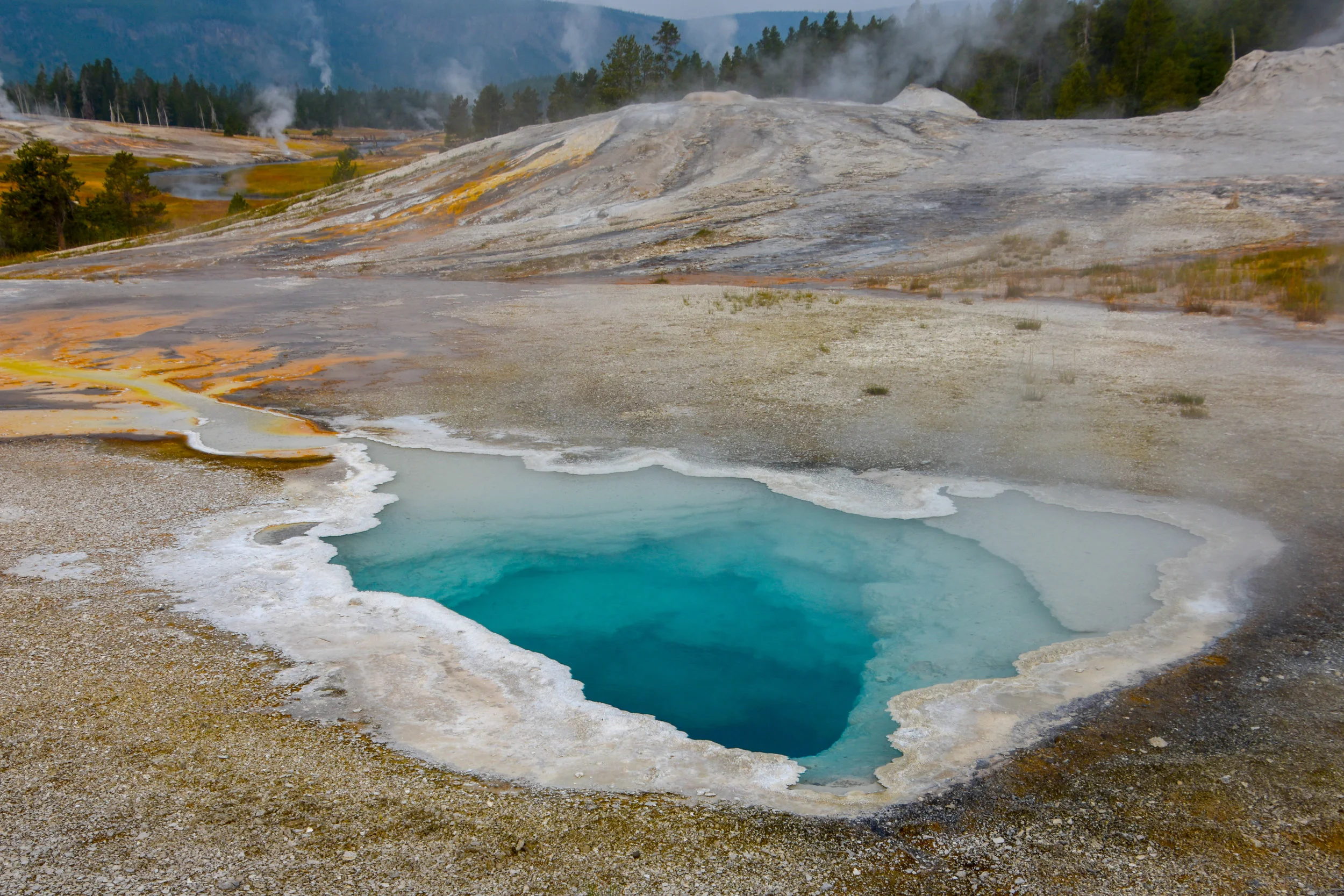 DSC_0496.jpg