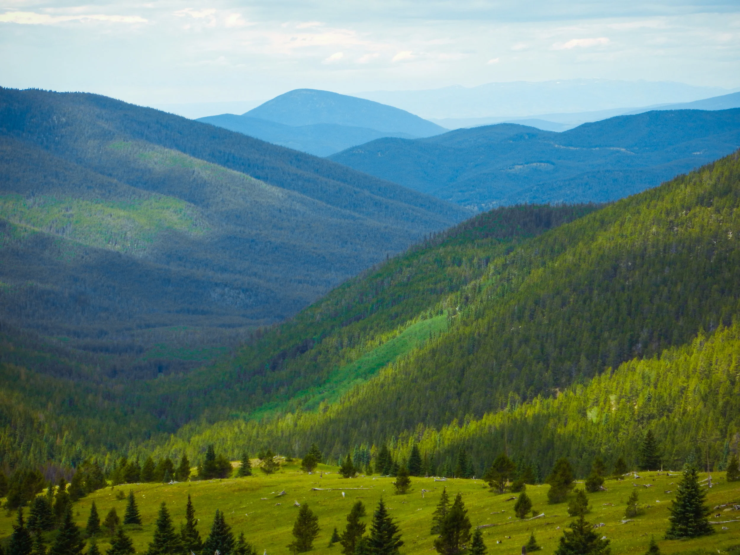 Quote of the Day #QOTD