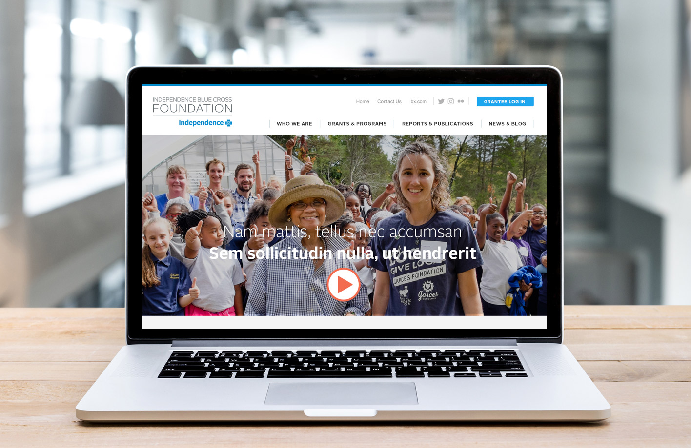 IBX Foundation