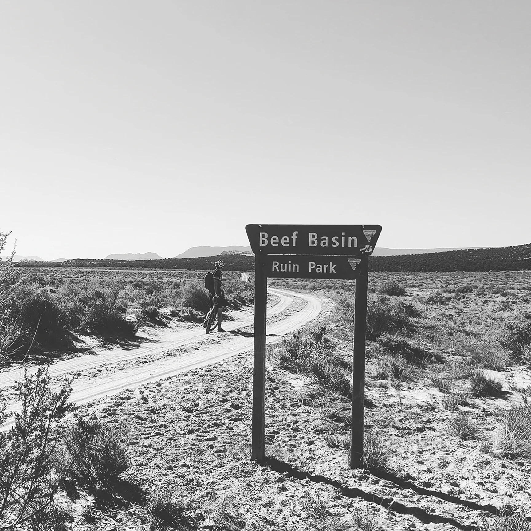 Telling signs along the route through Beef Basin. Photo by Ashley Carruth
