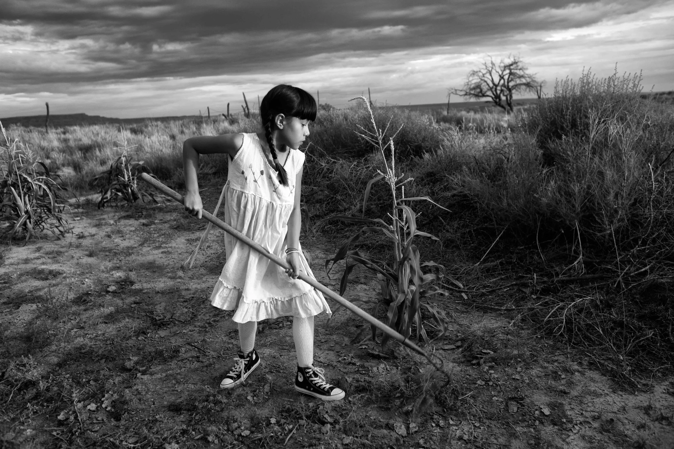 Metzli in the cornfield. Photo by Chip Thomas