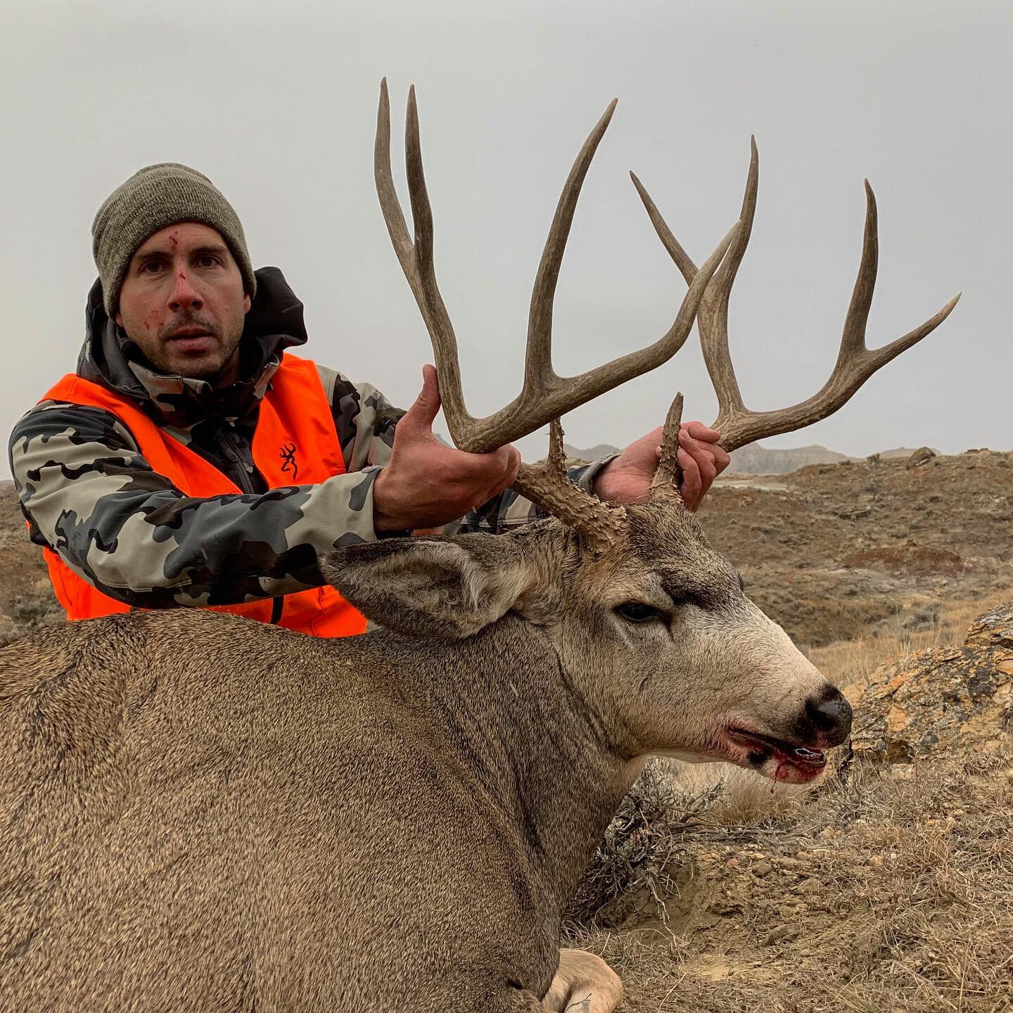 Guided Montana Deer Hunts — Montana Big Game Outfitters
