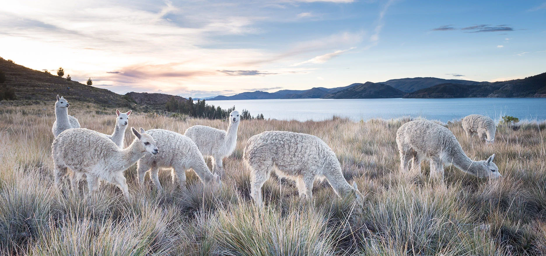 shutterstock_285674207 BAJA.jpg