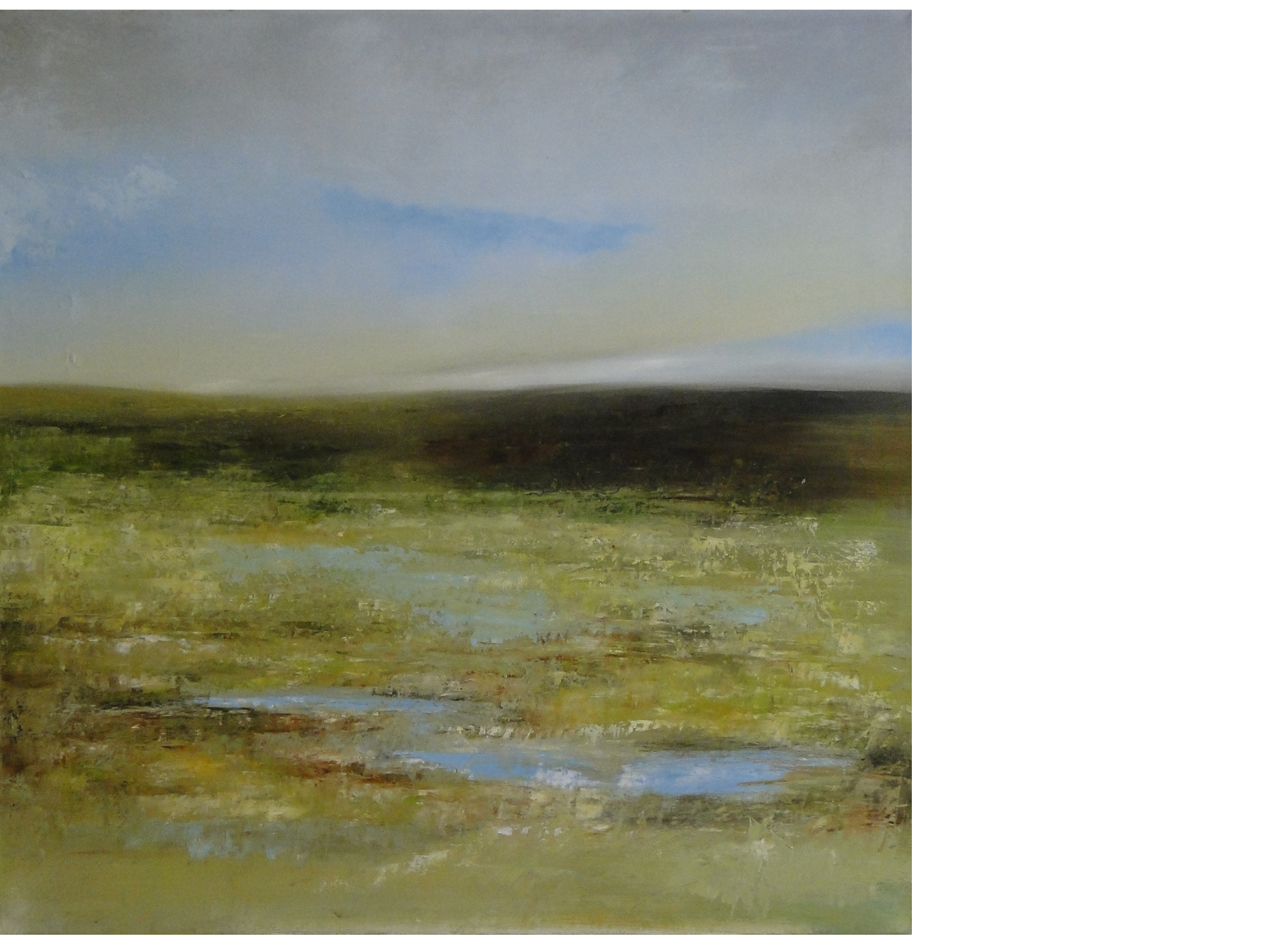 TOWARDS BARROW COMMON