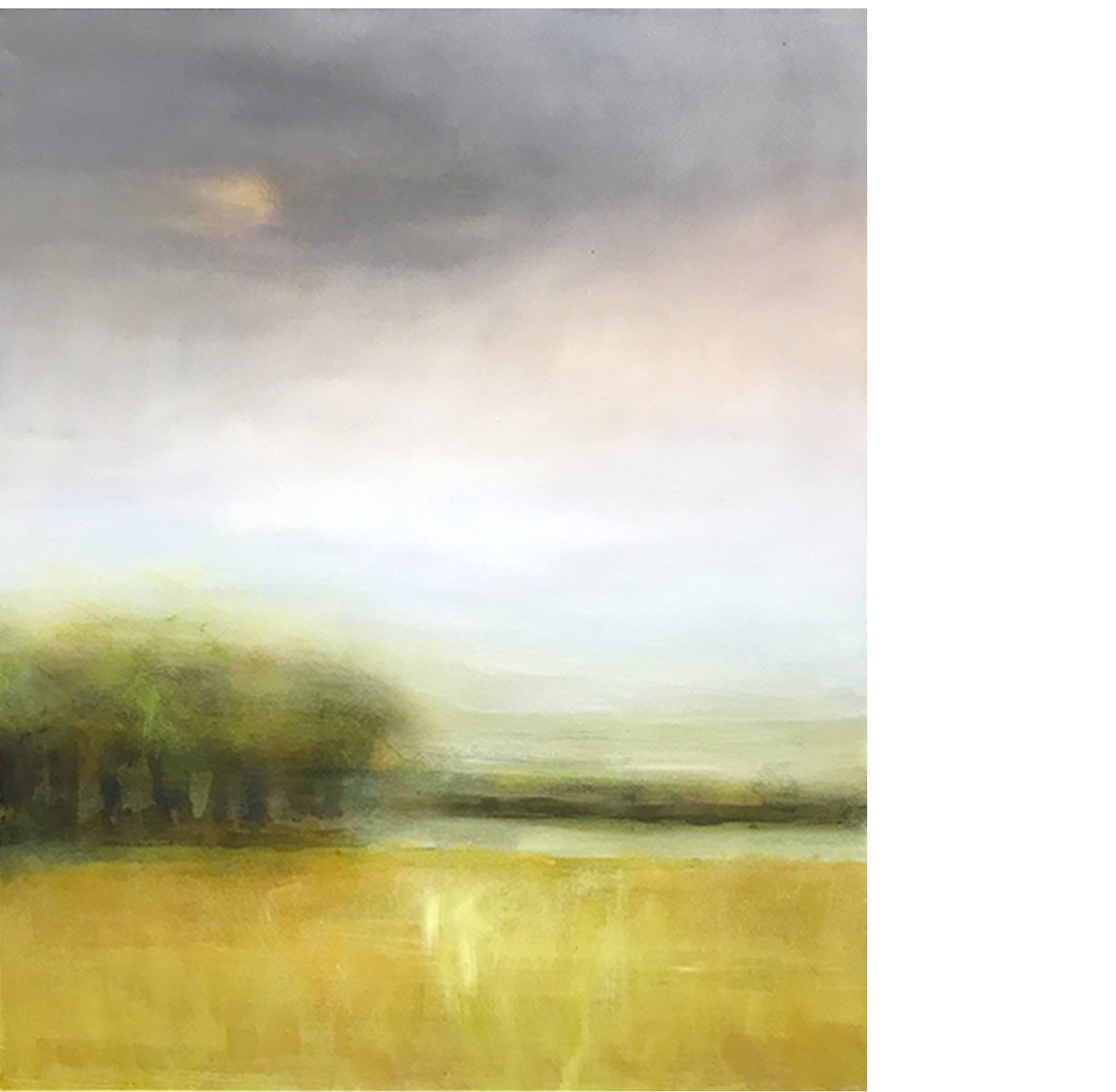 heyford hill water meadow