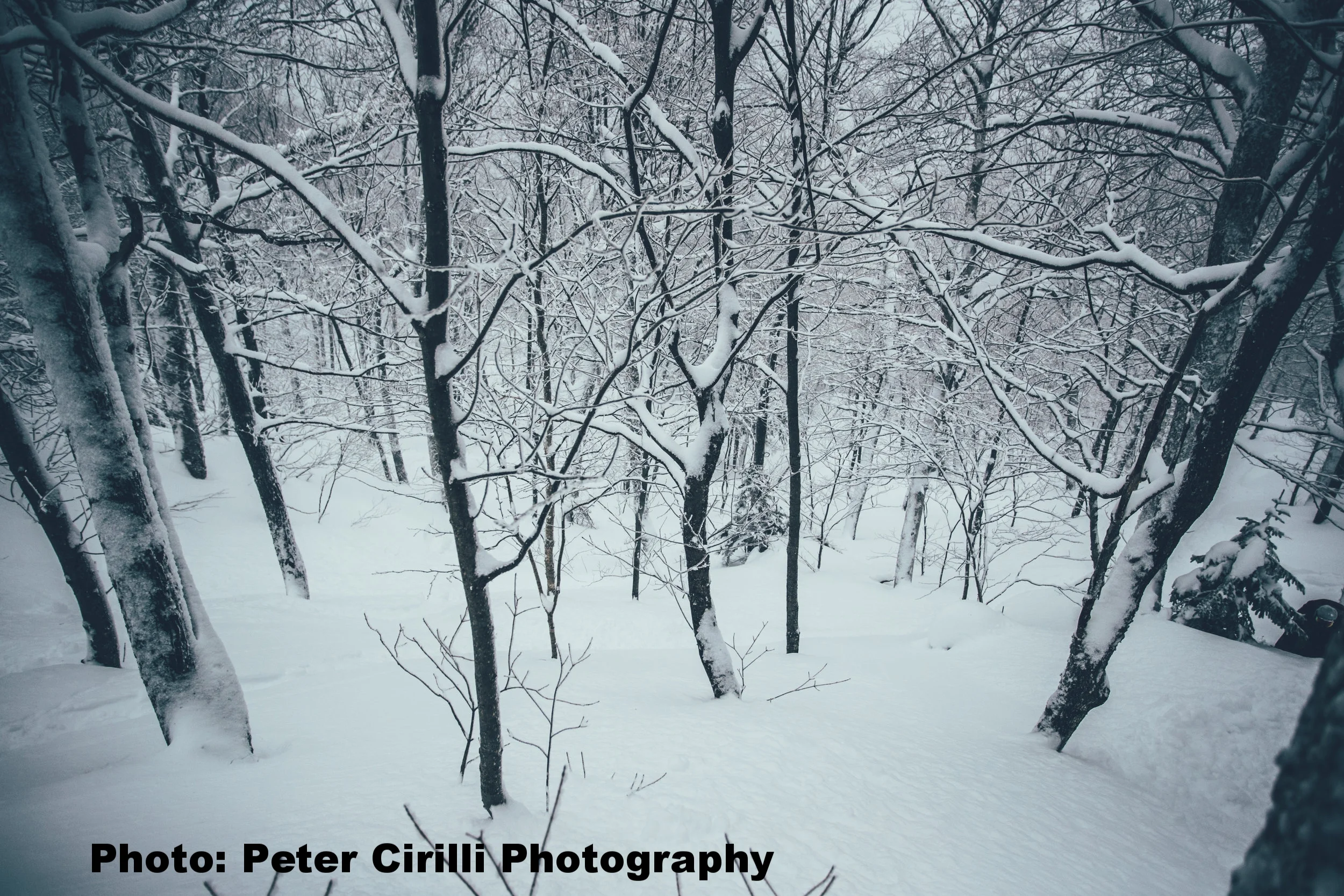 Stowe_February13th_2017-6.jpg